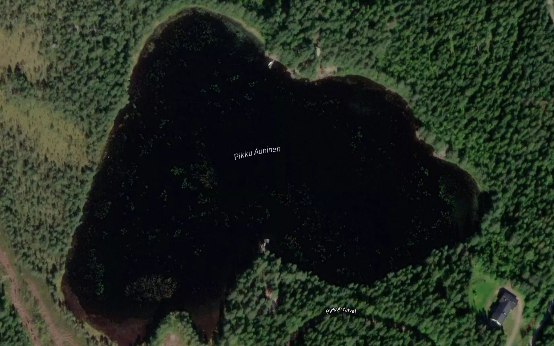 Satellite map of the Pikku-Auninen