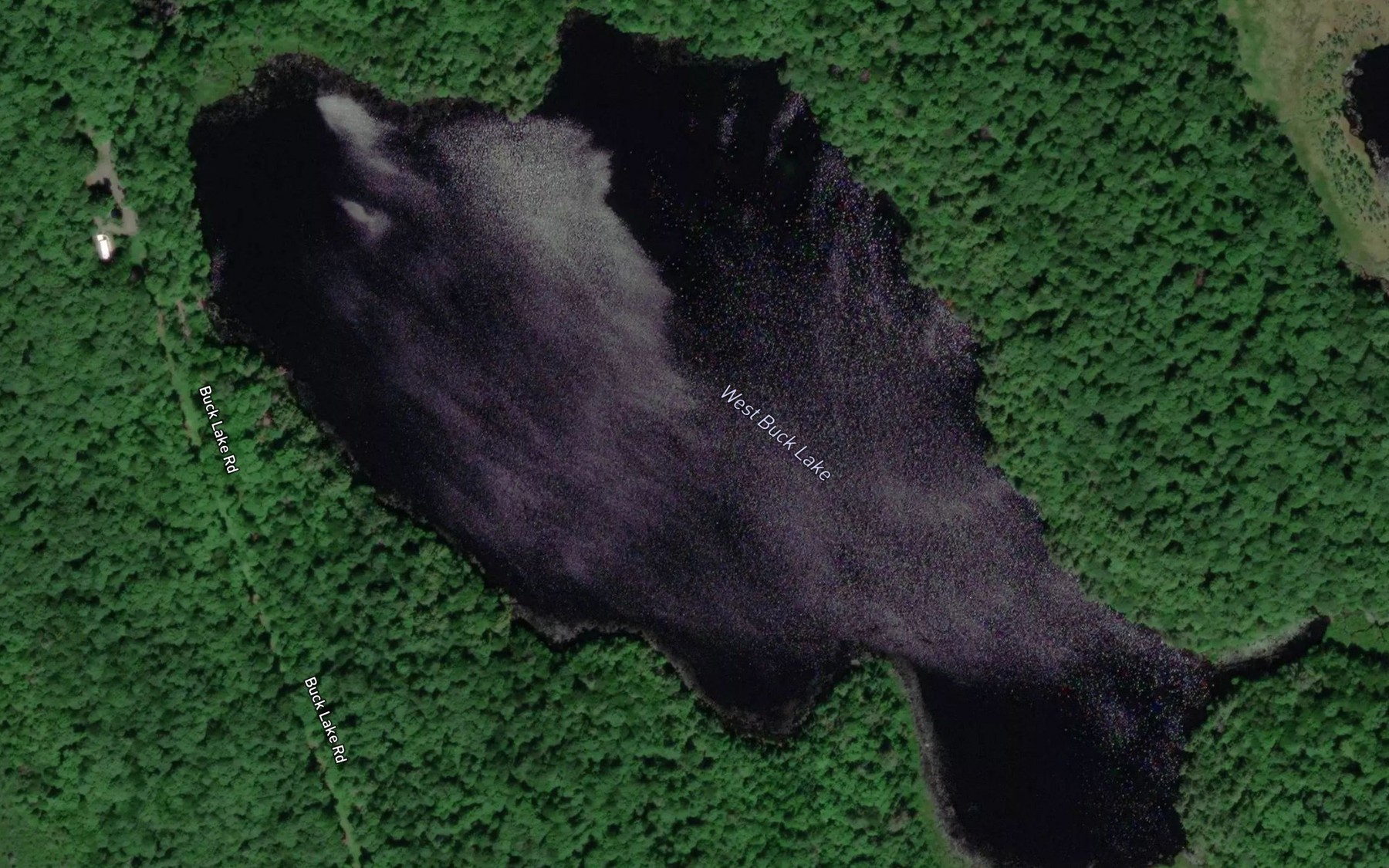 Satellite map of the West Buck Lake