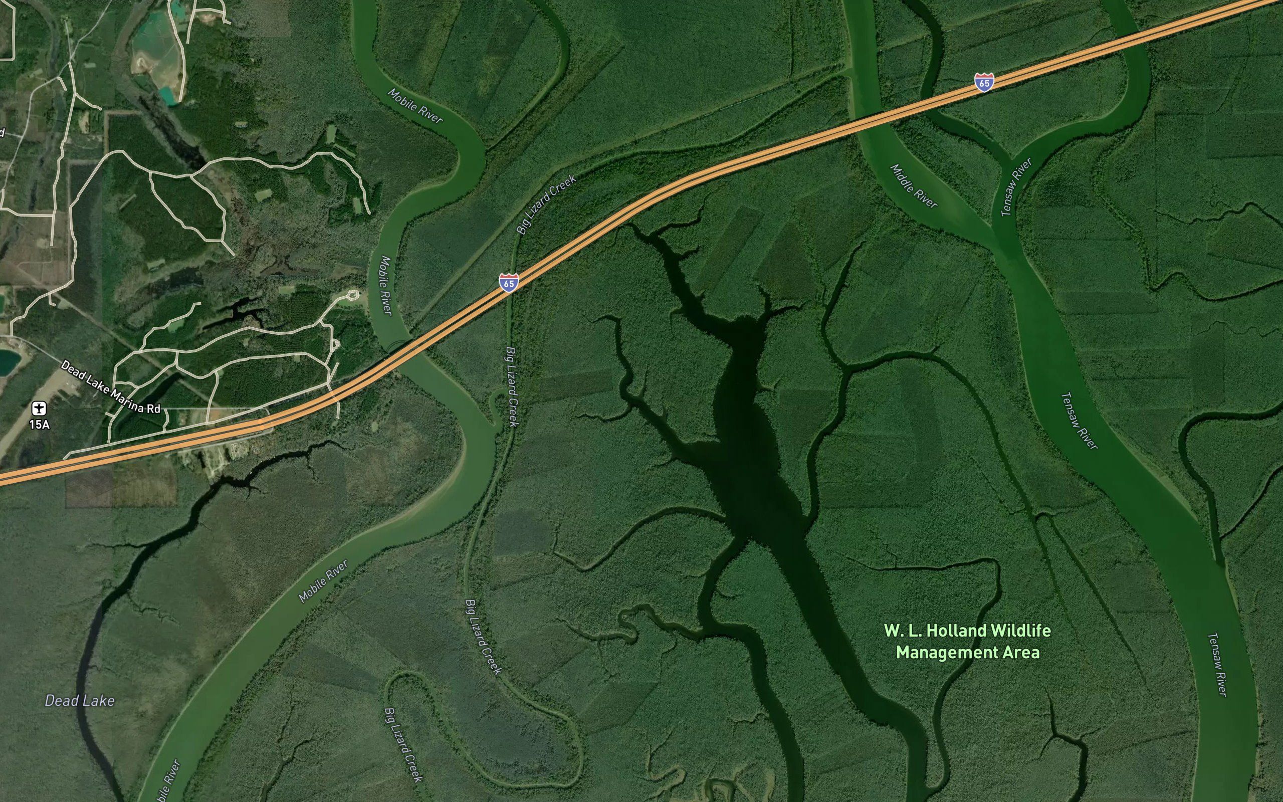 Bat Creek