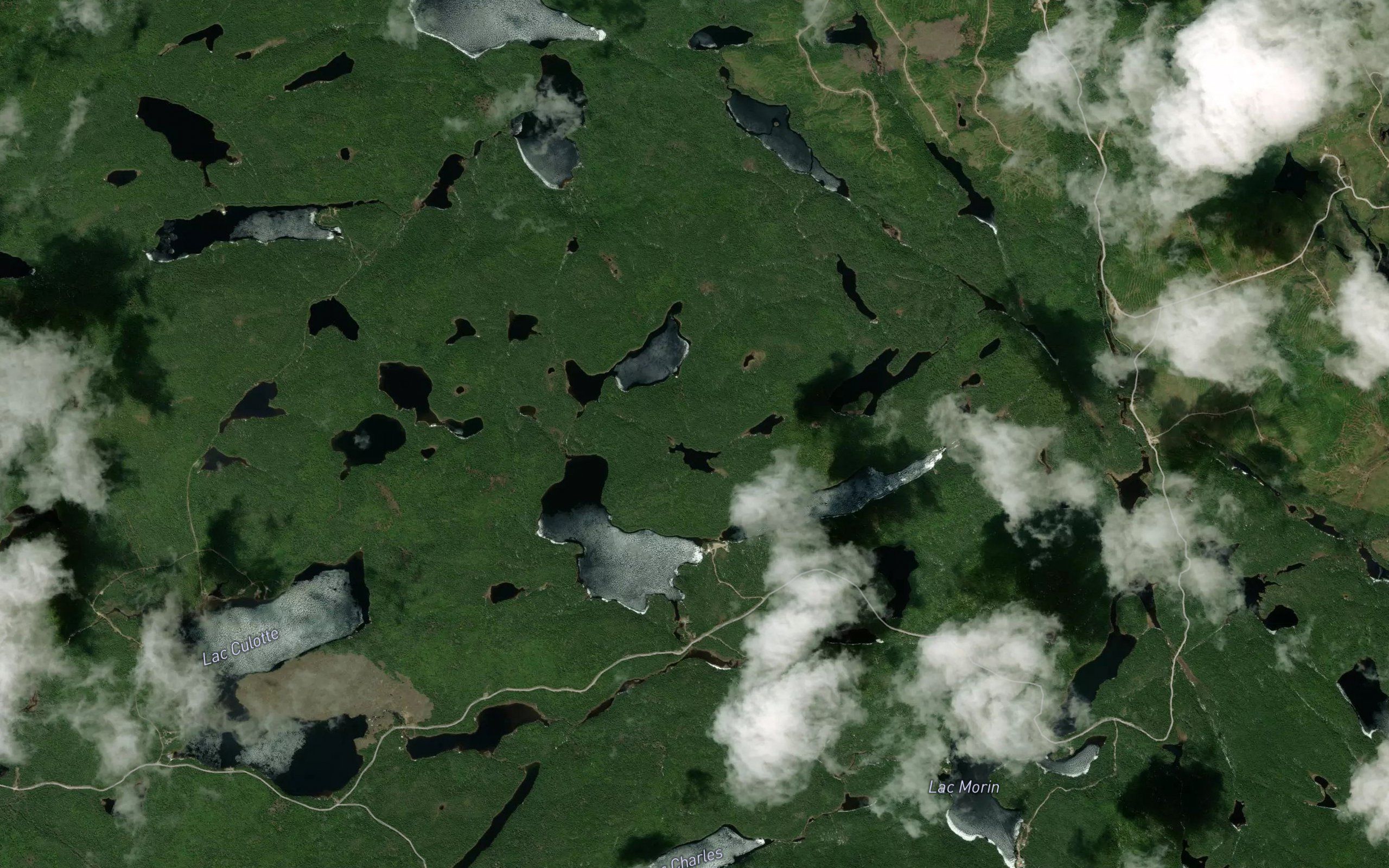 Lac du Bucheron
