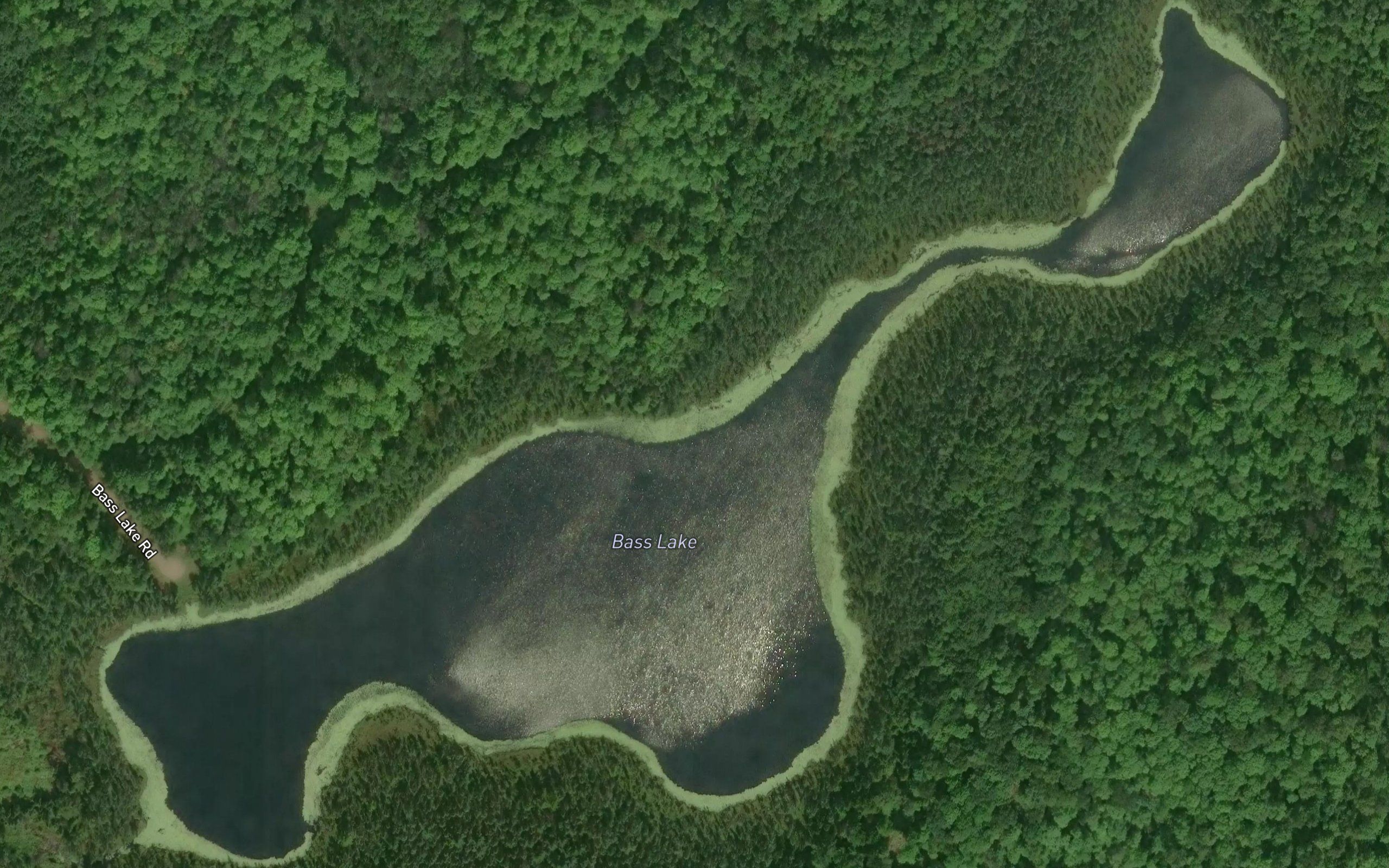 Bass Lake