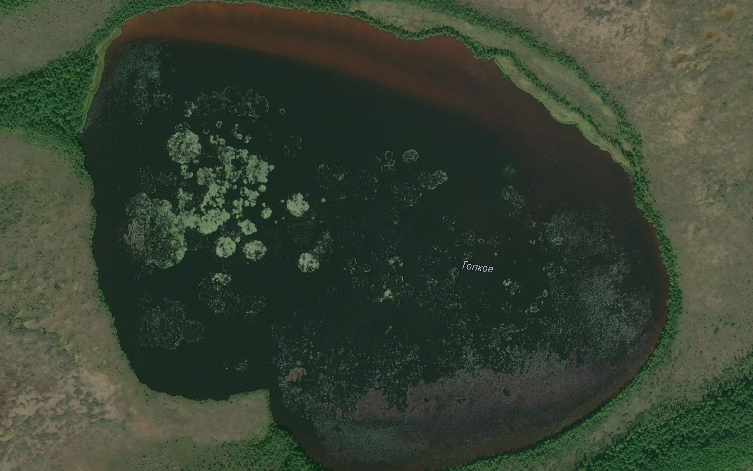 Ozero Topkoye