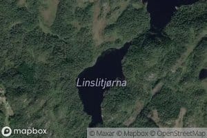 Linslitjorna