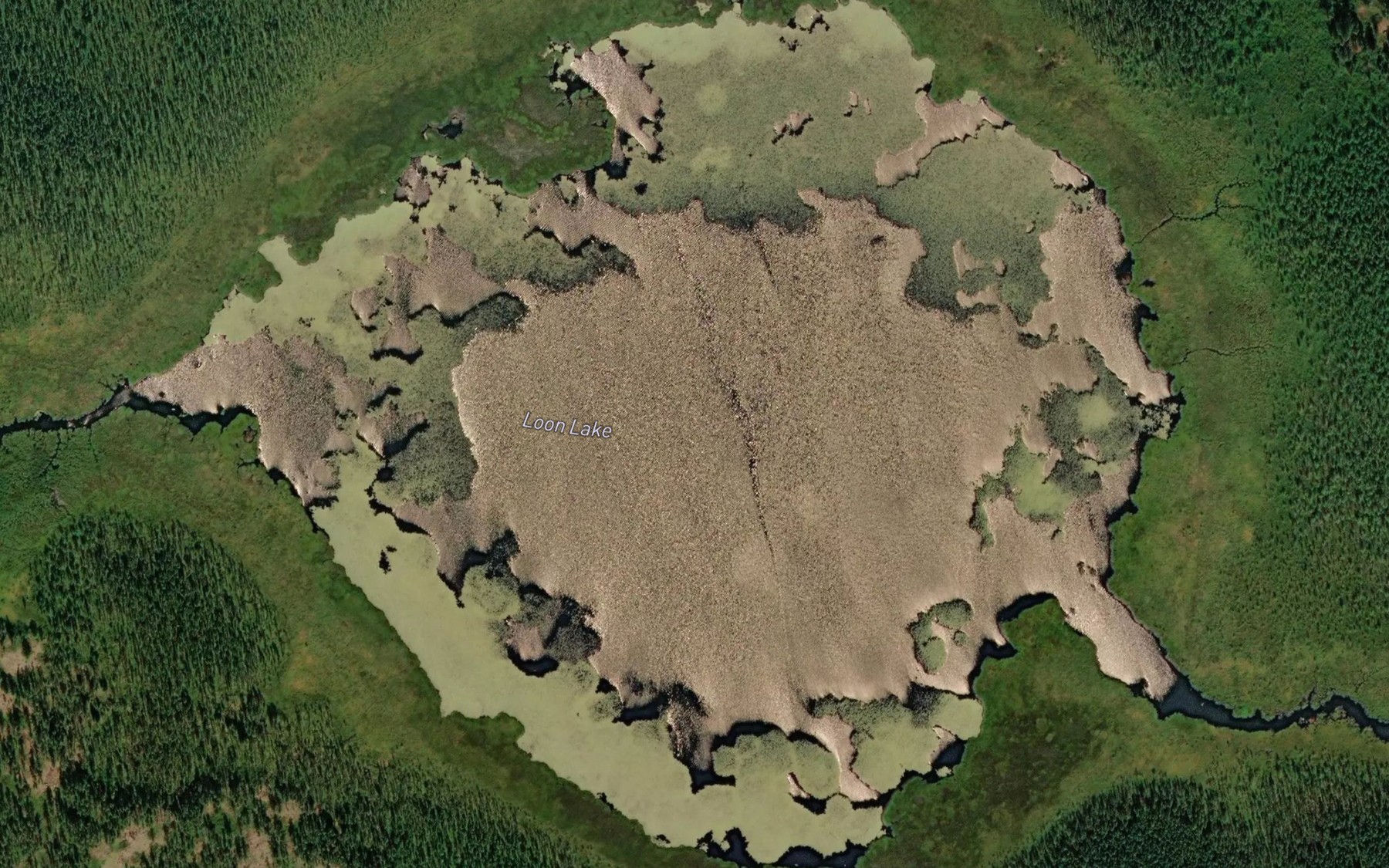 Satellite map of the Loon Lake