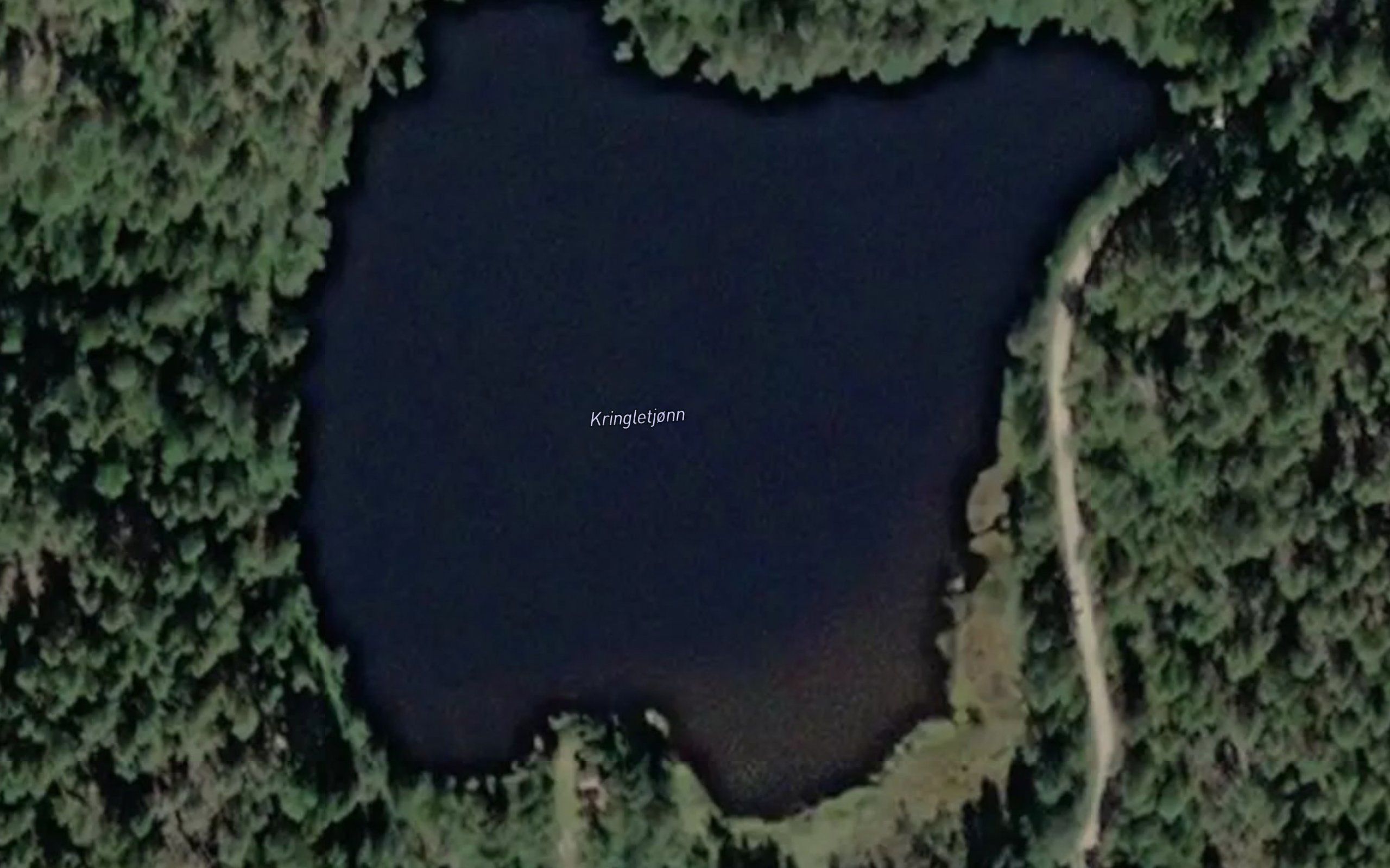 Kringletjorn