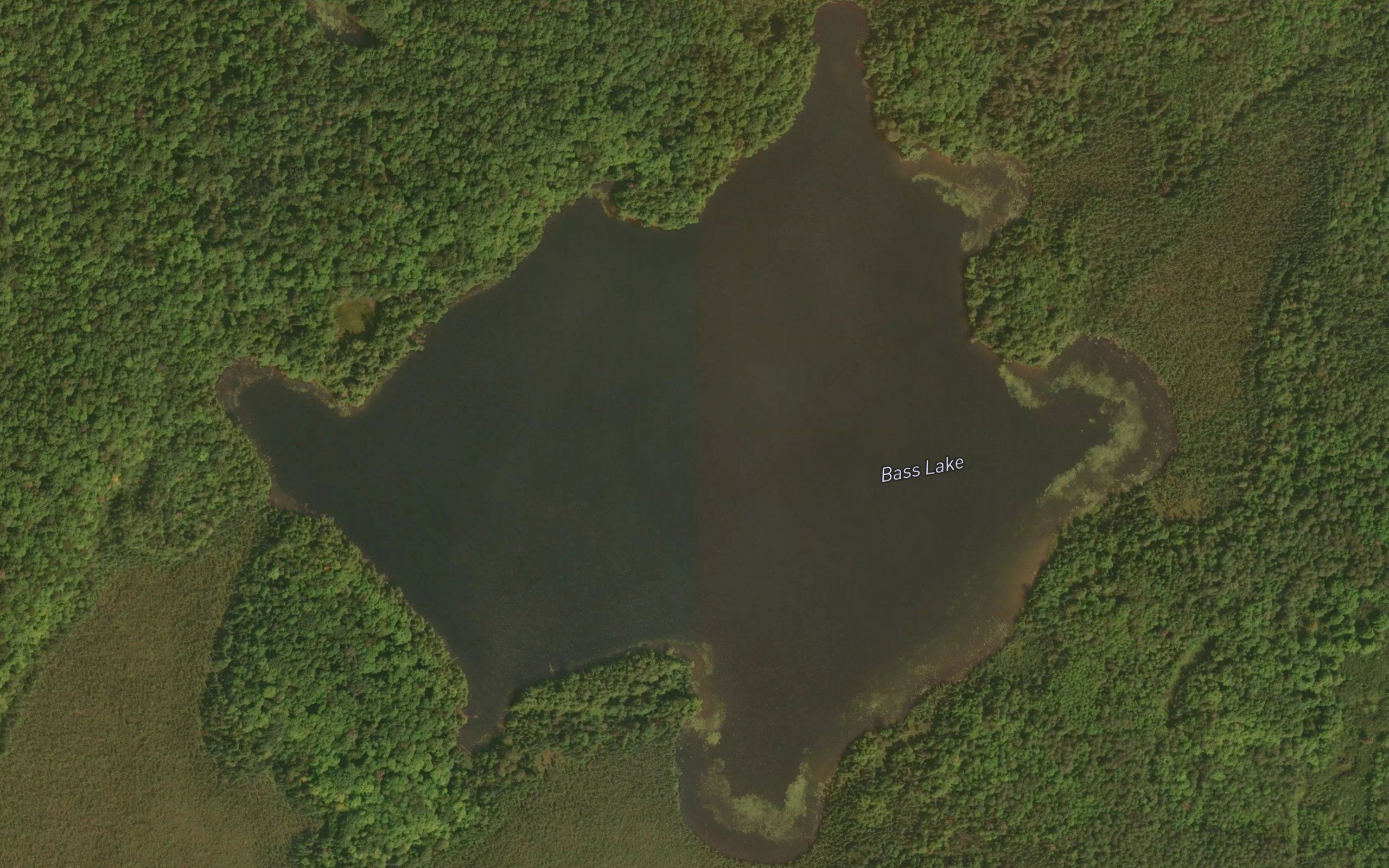 Bass Lake