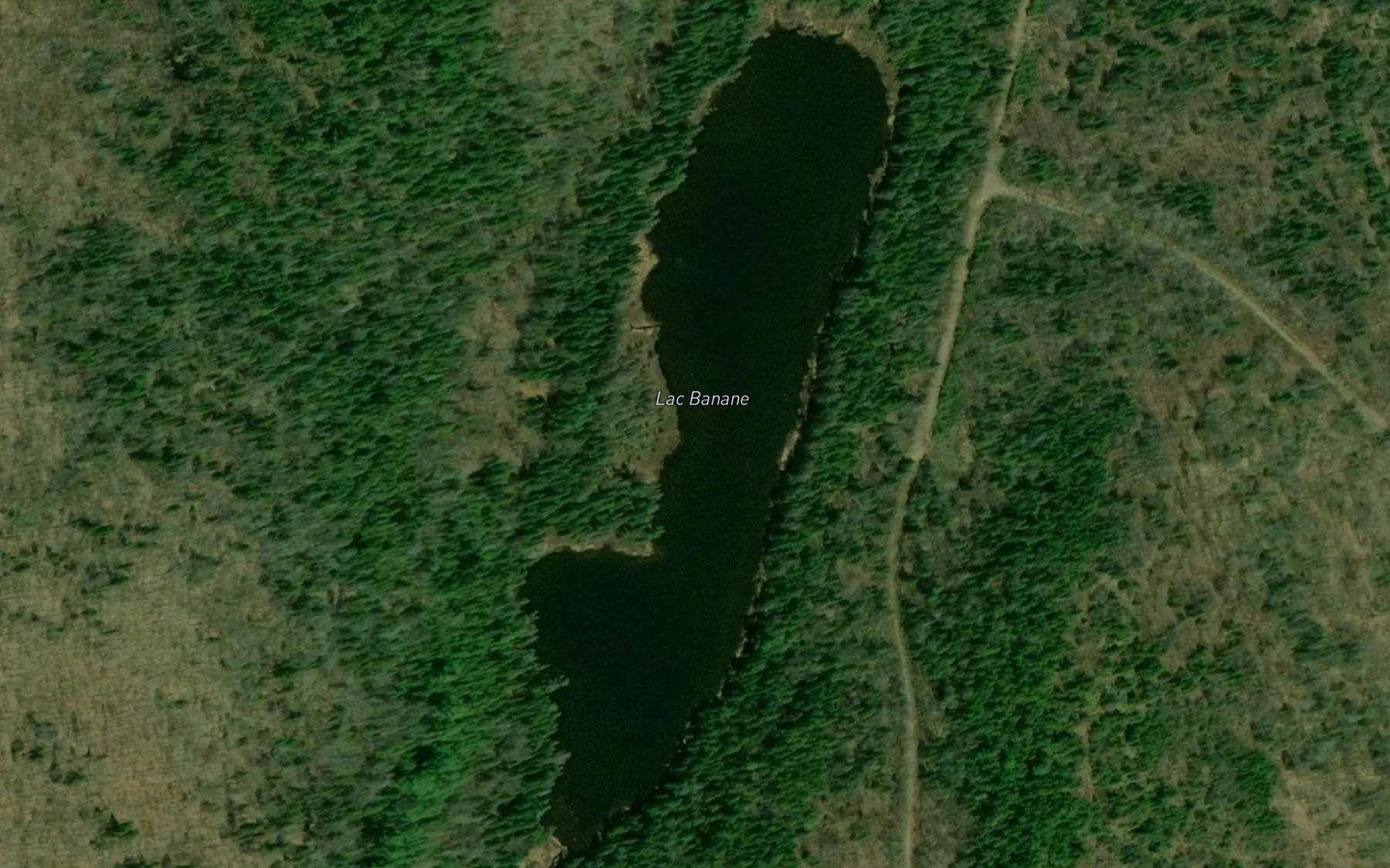 Satellite map of the Lac Banane