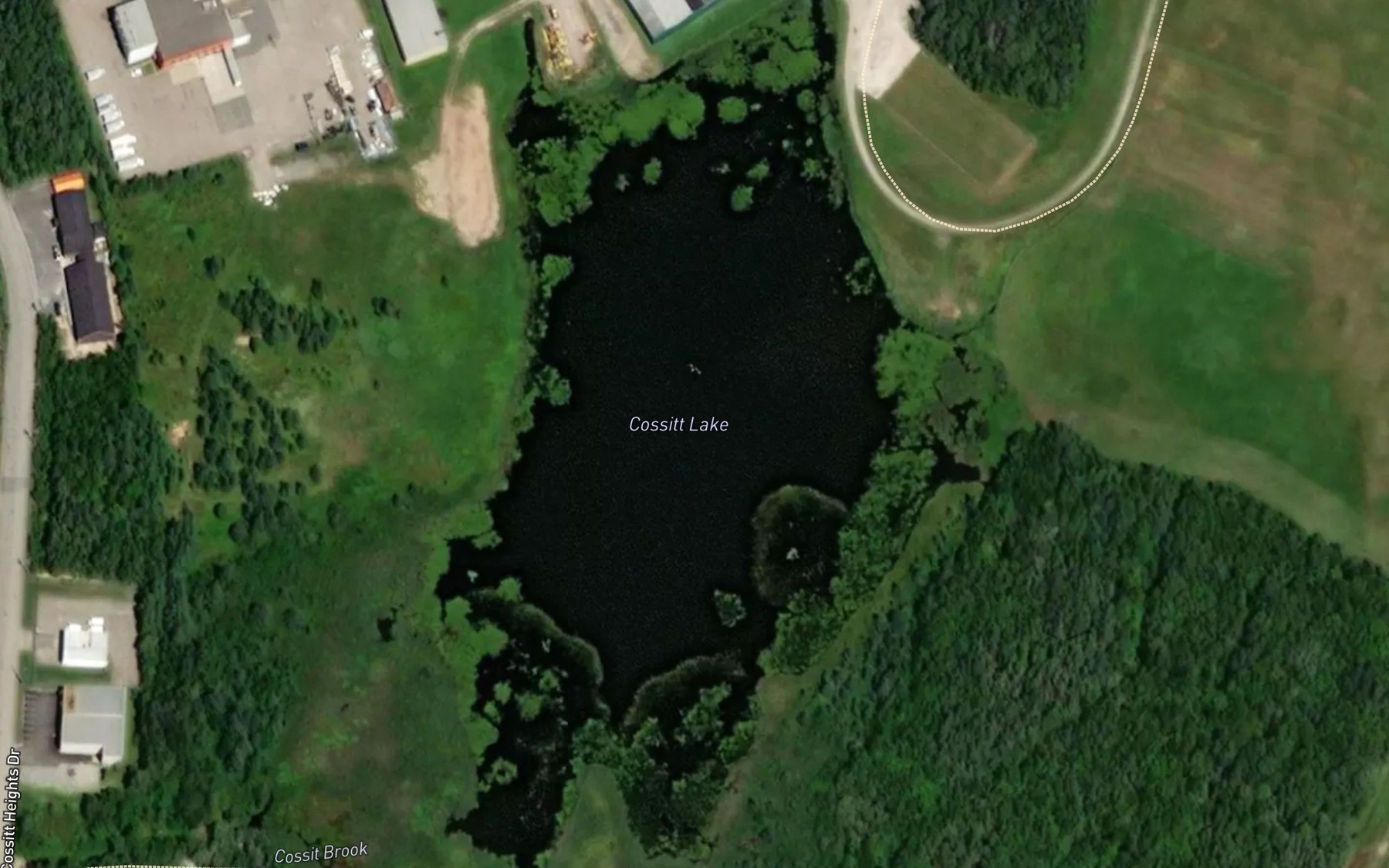 Satellite map of the Cossitt Lake