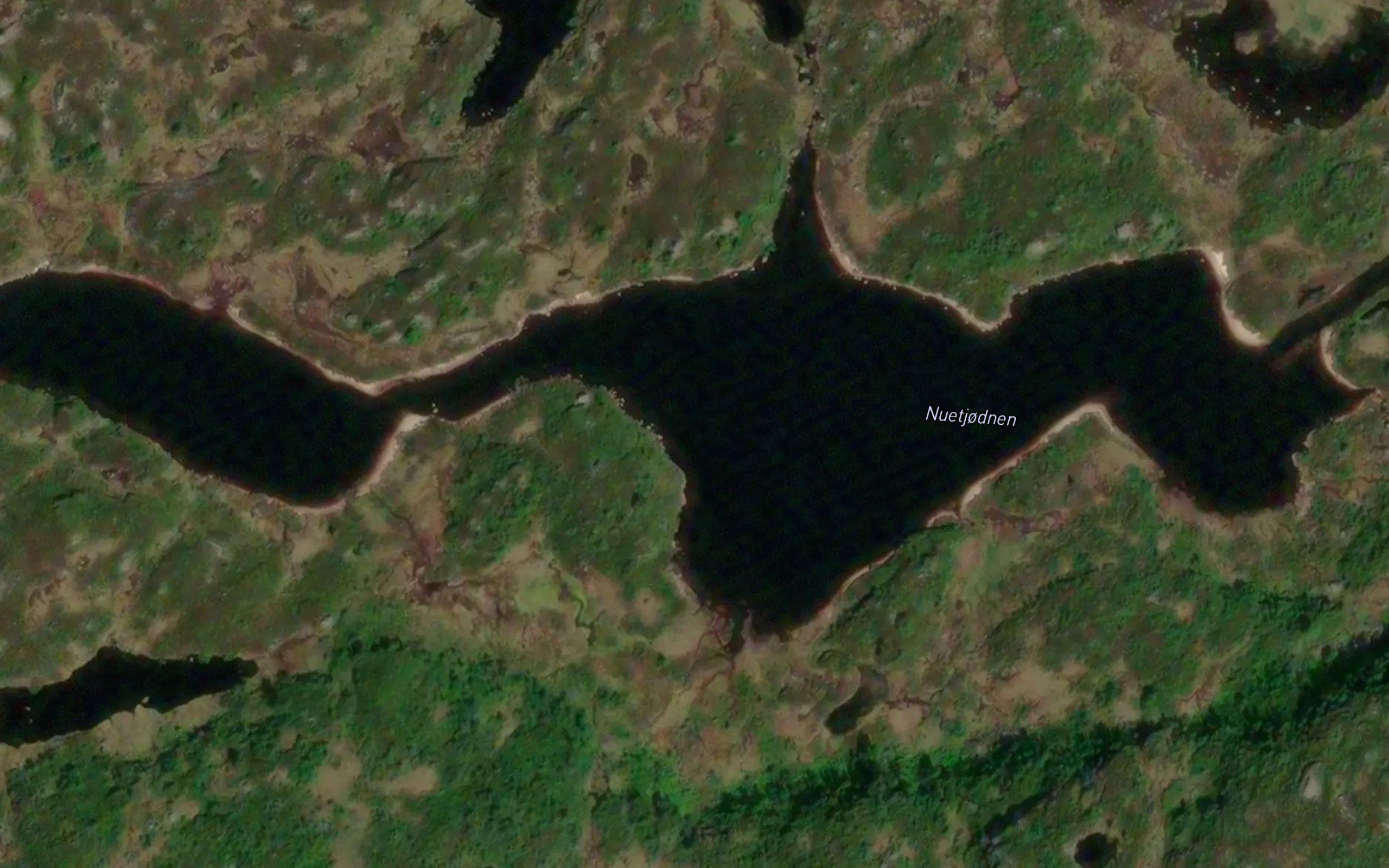Nuetjornane