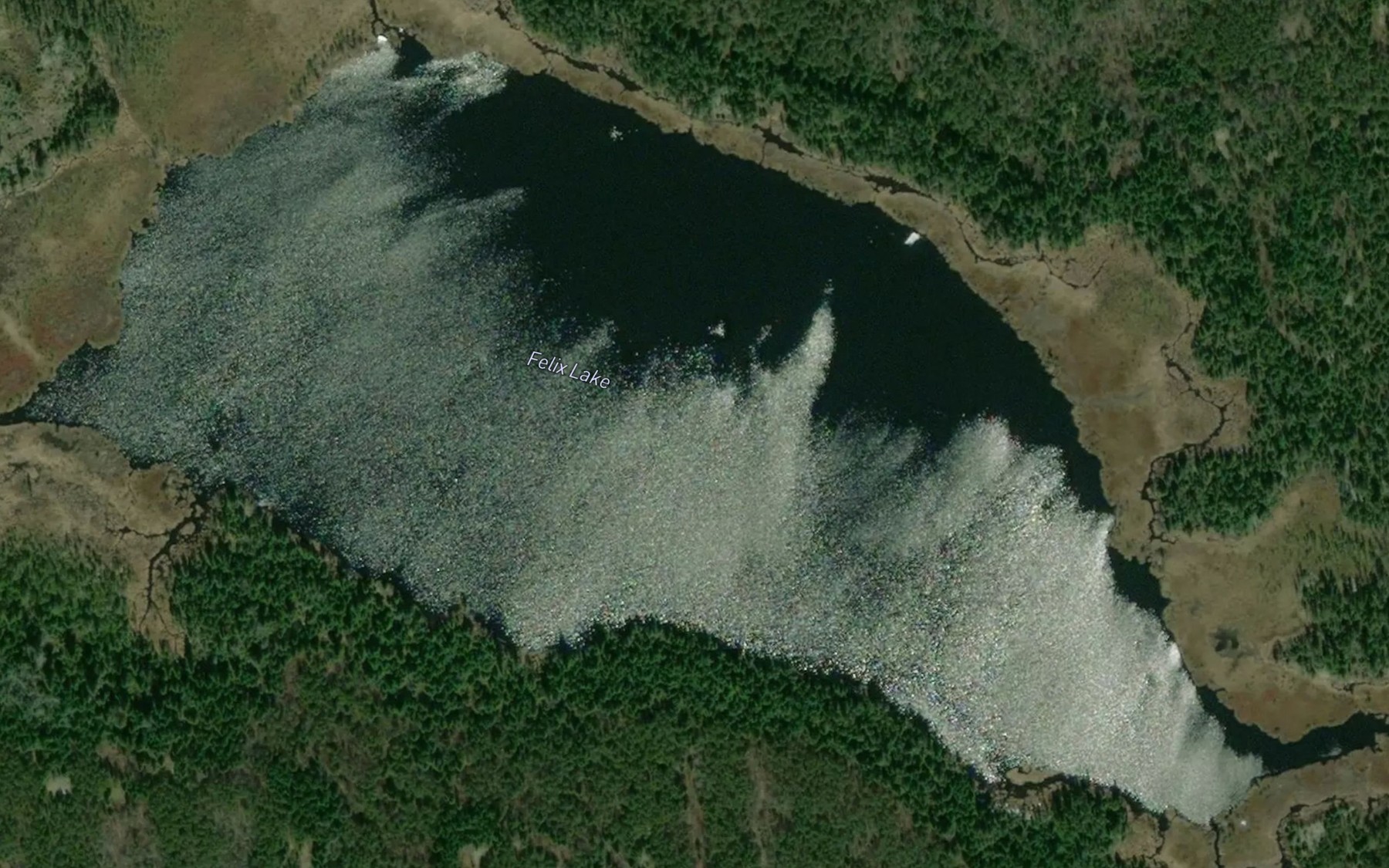 Satellite map of the Felix Lake
