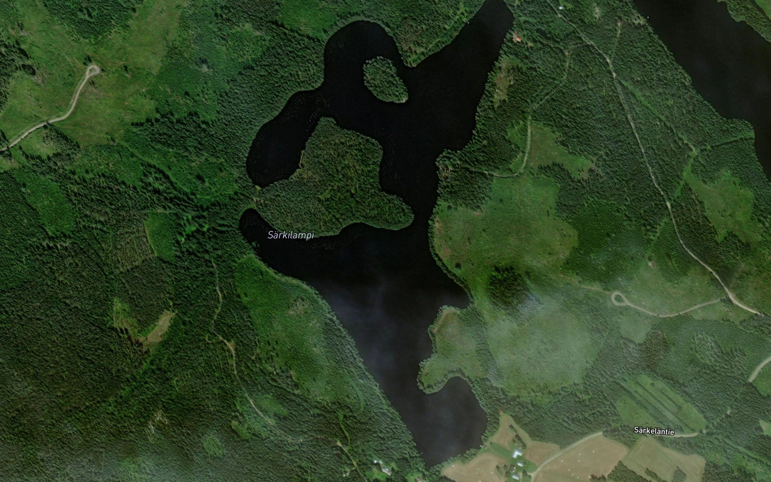 Sarkilampi