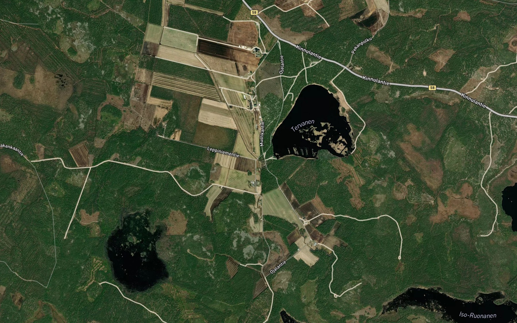 Satellite map of the Ruonasenpuro