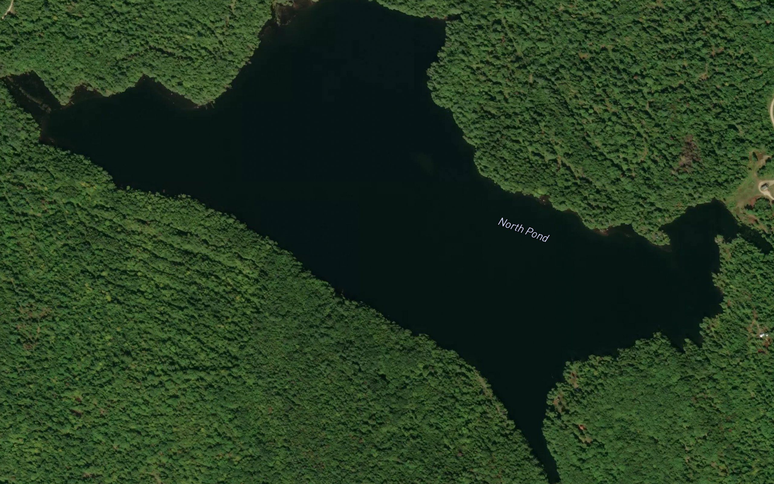 North Pond