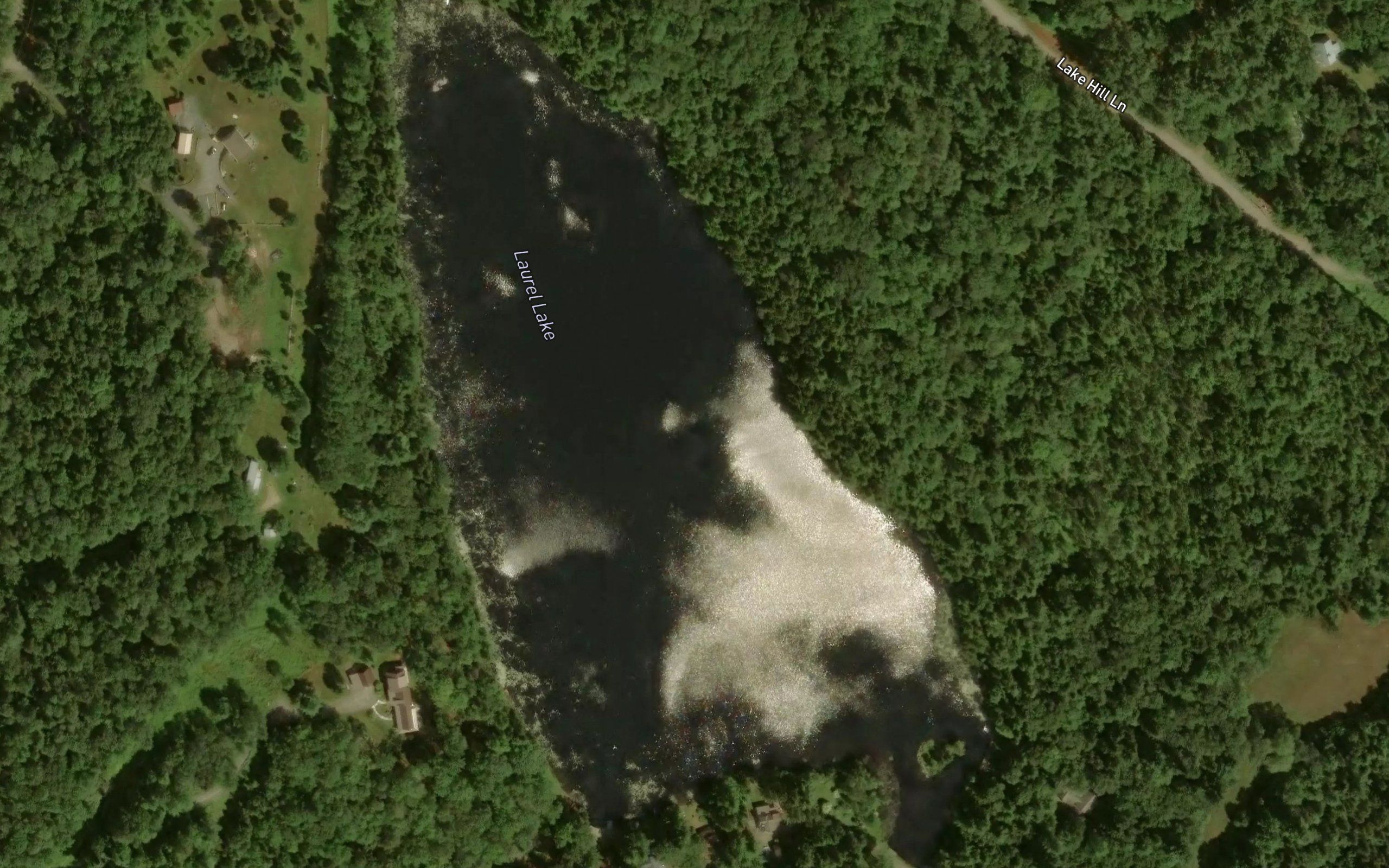 Laurel Lake