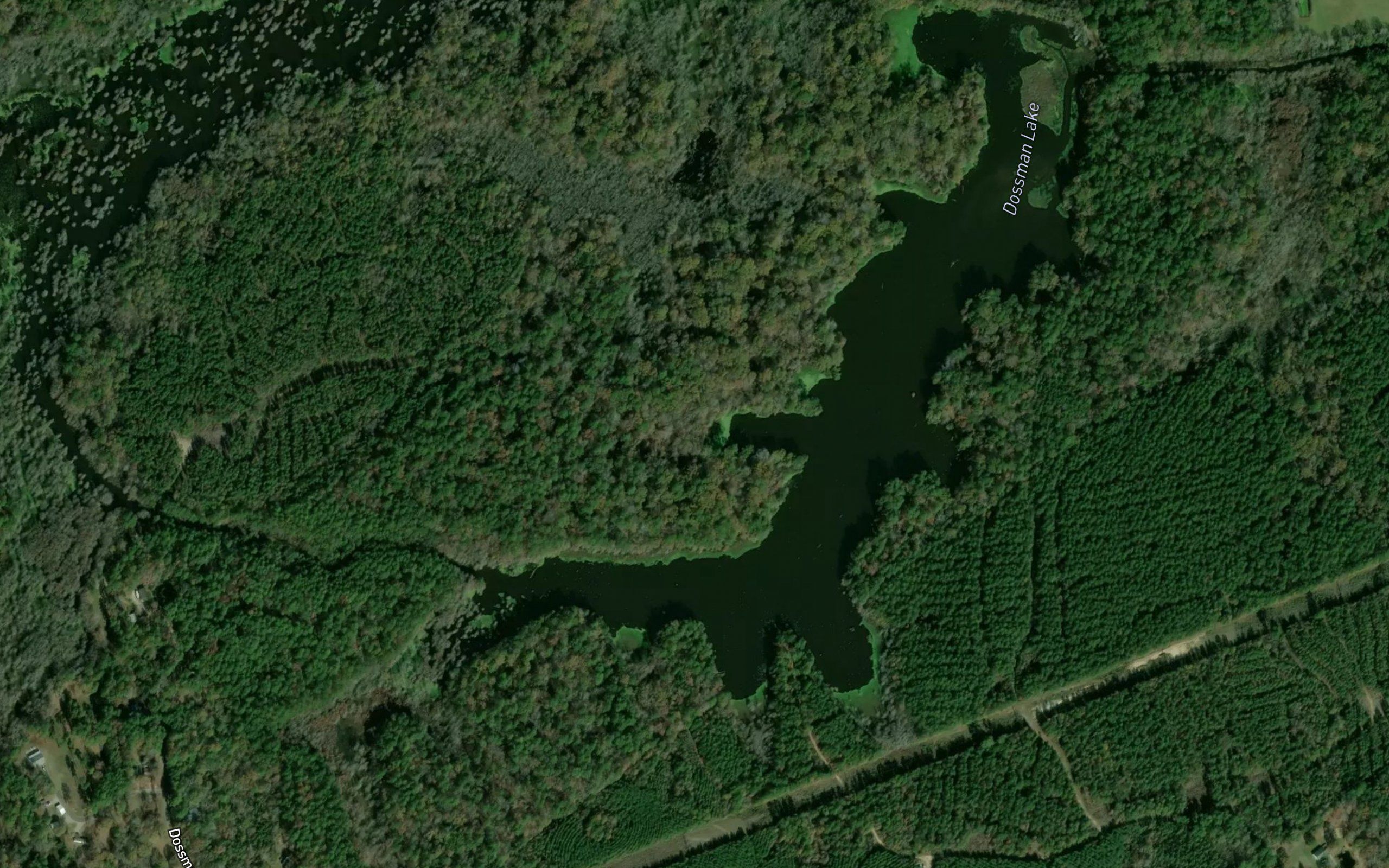 Dossman Lake