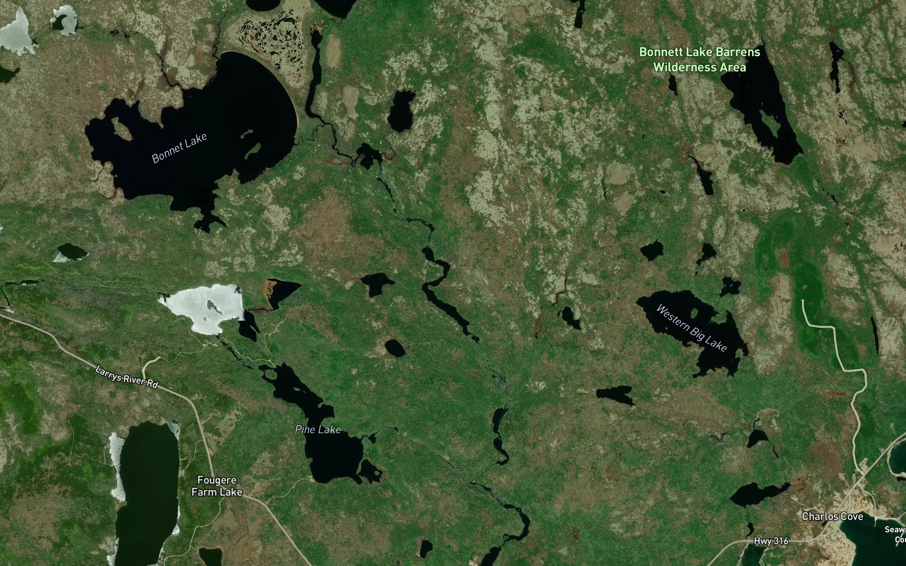 Satellite map of the Angus Lakes