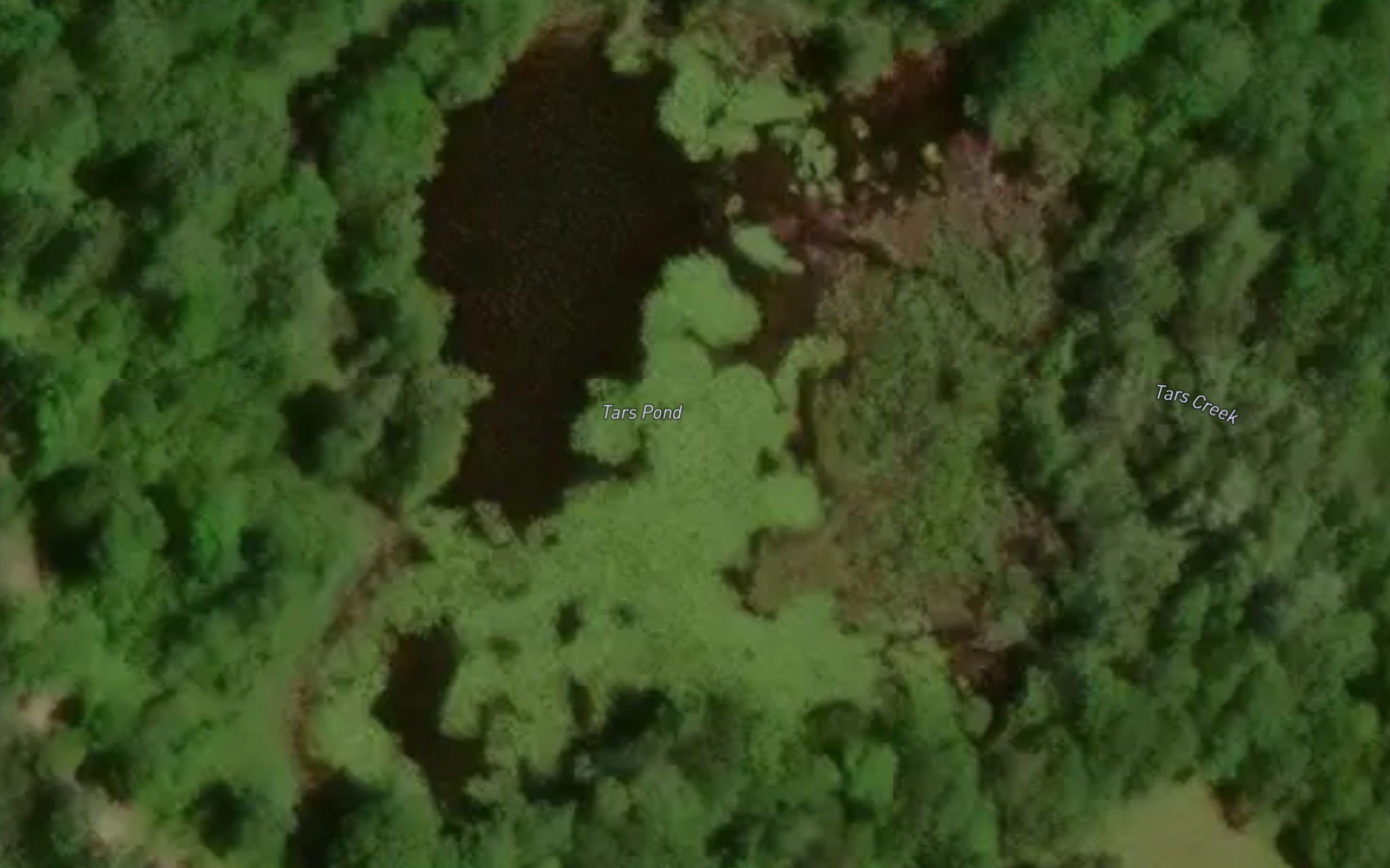 Tars Pond