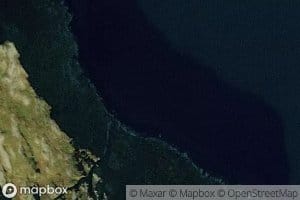 Kavika