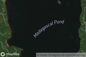 Madagascal Pond