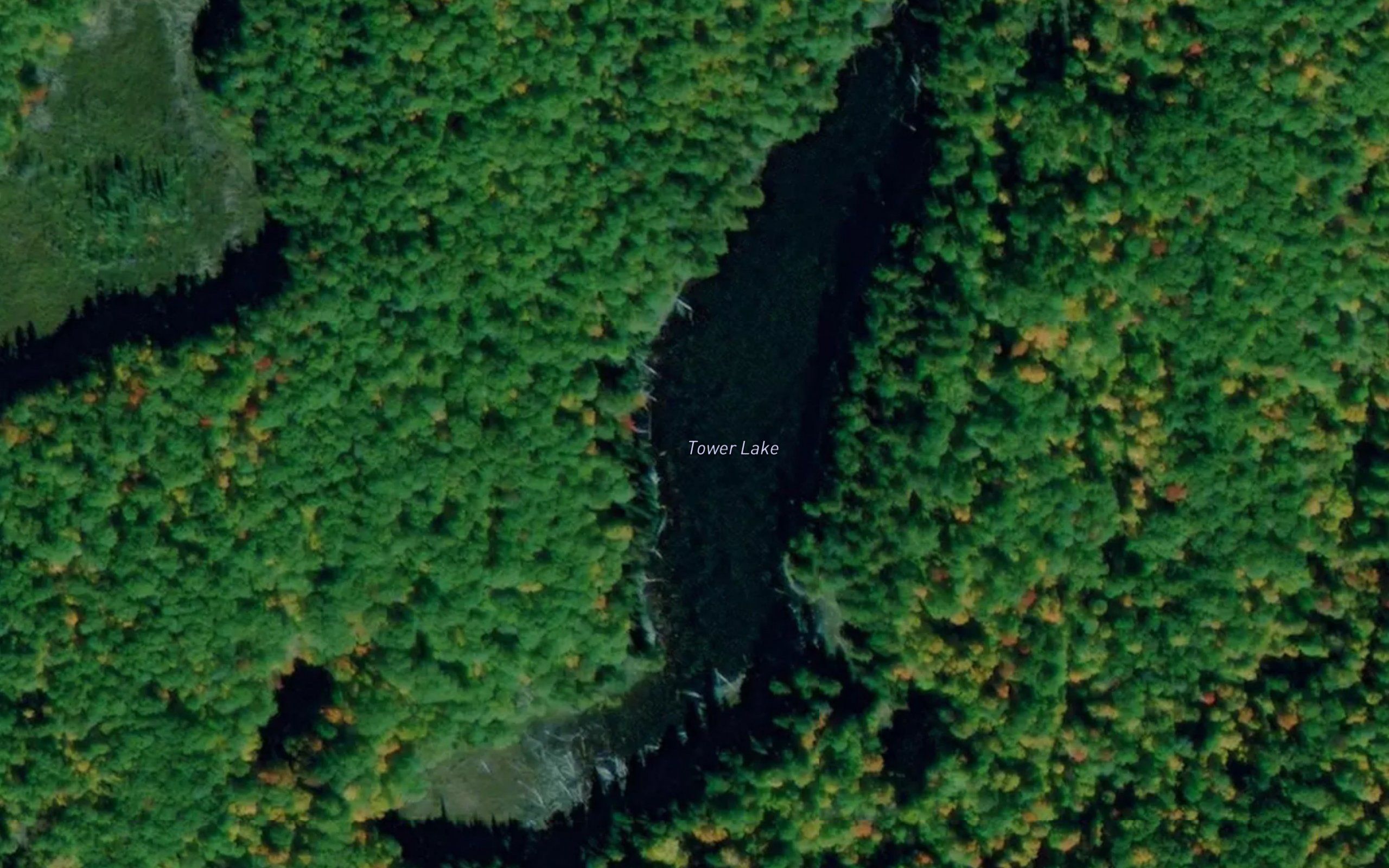 Tower Lake