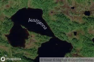 Austtjonna