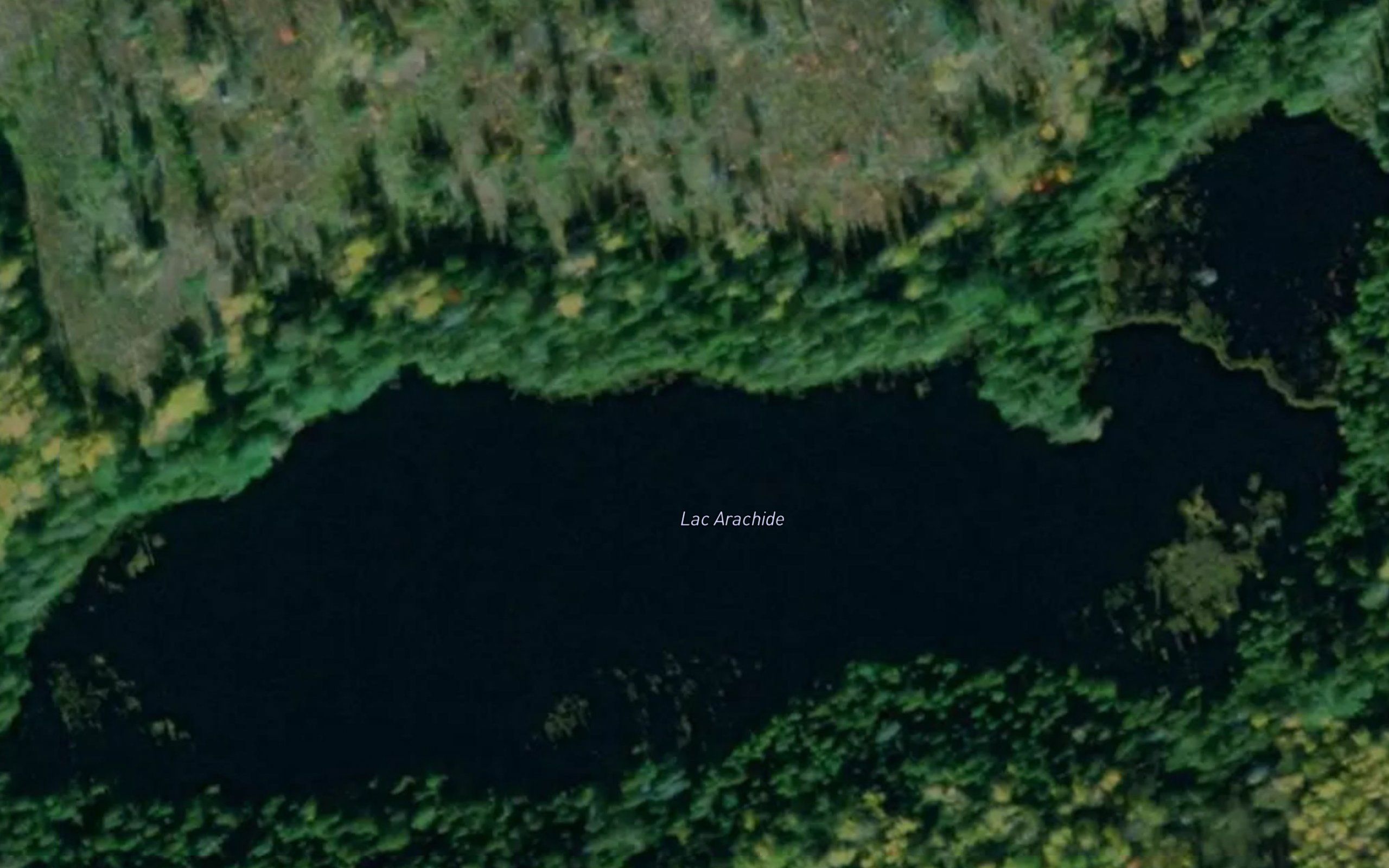 Lac Arachide
