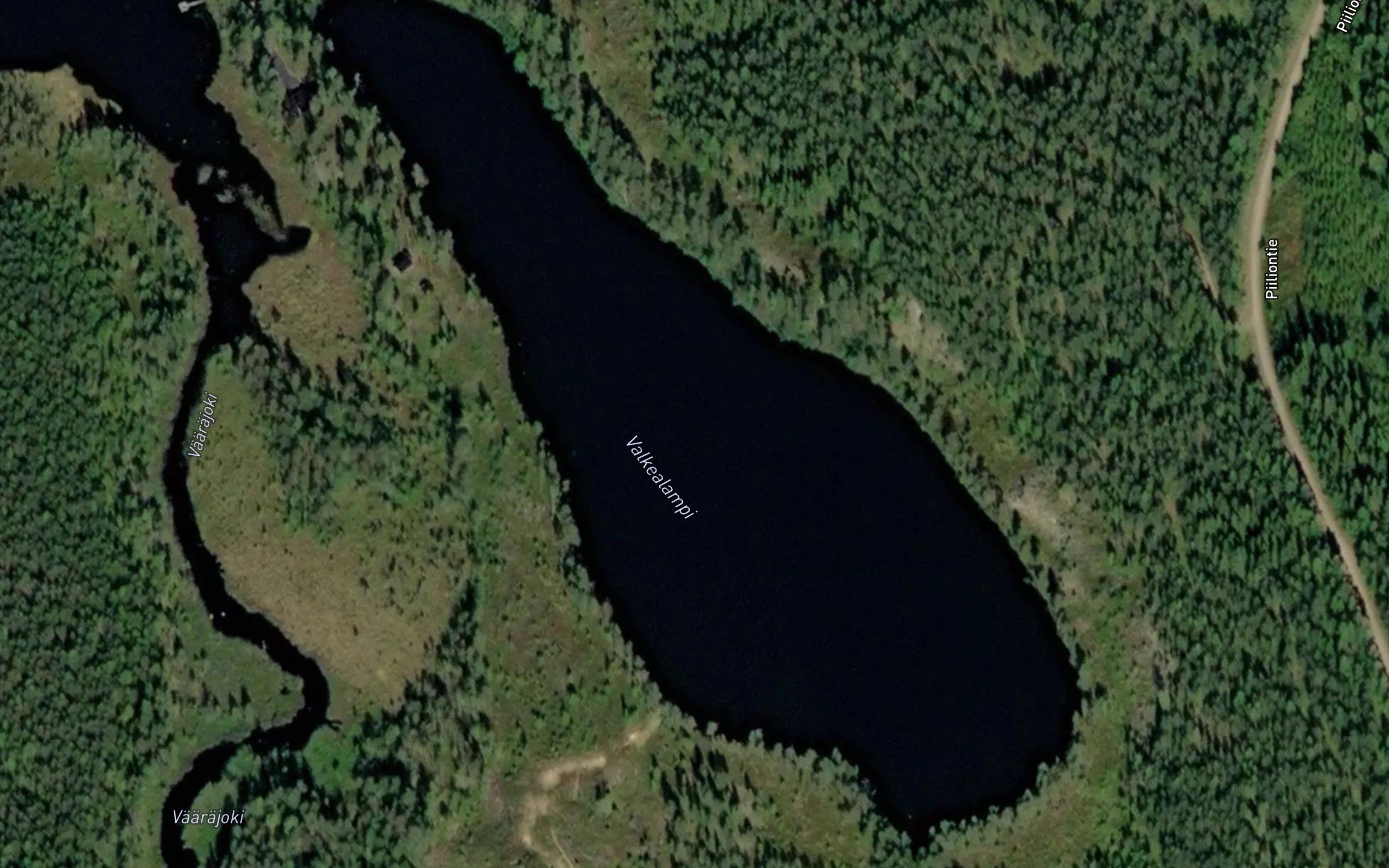 Valkealampi