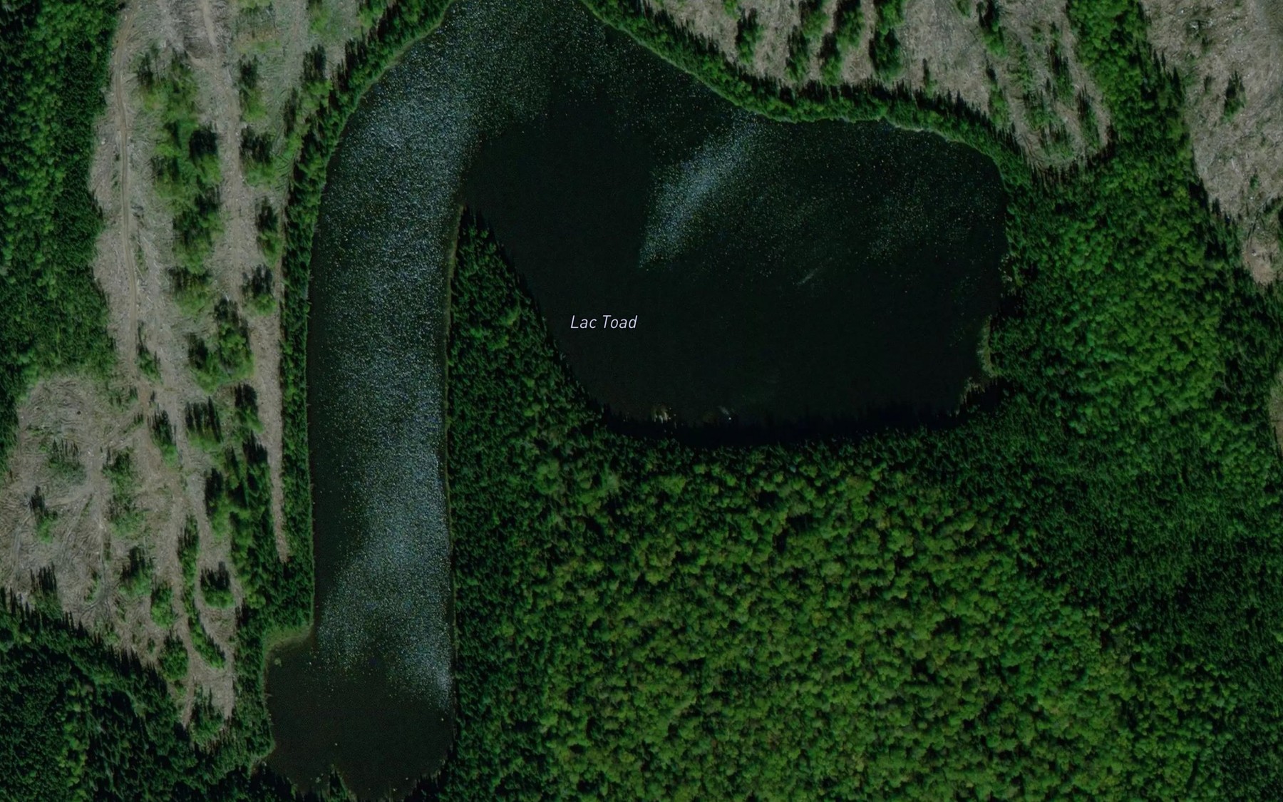 Satellite map of the Lac Toad