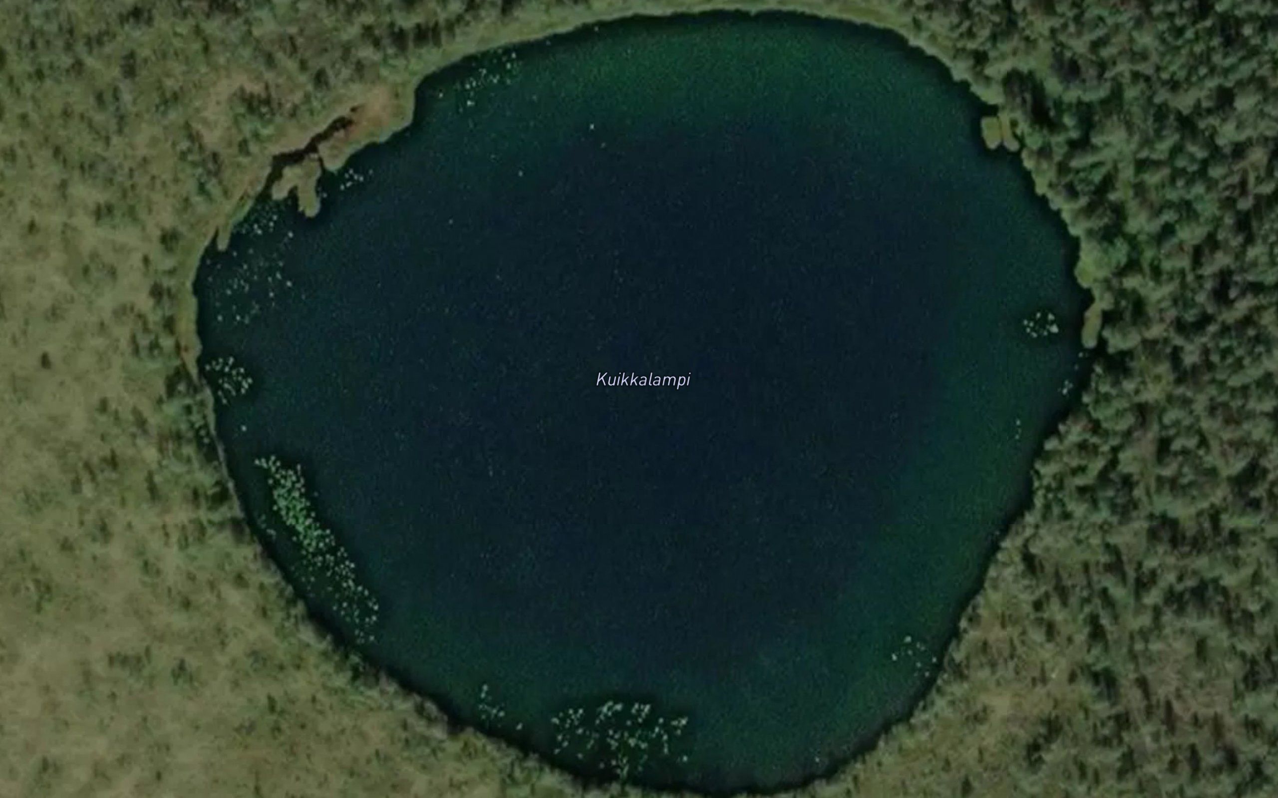 Kuikkalampi