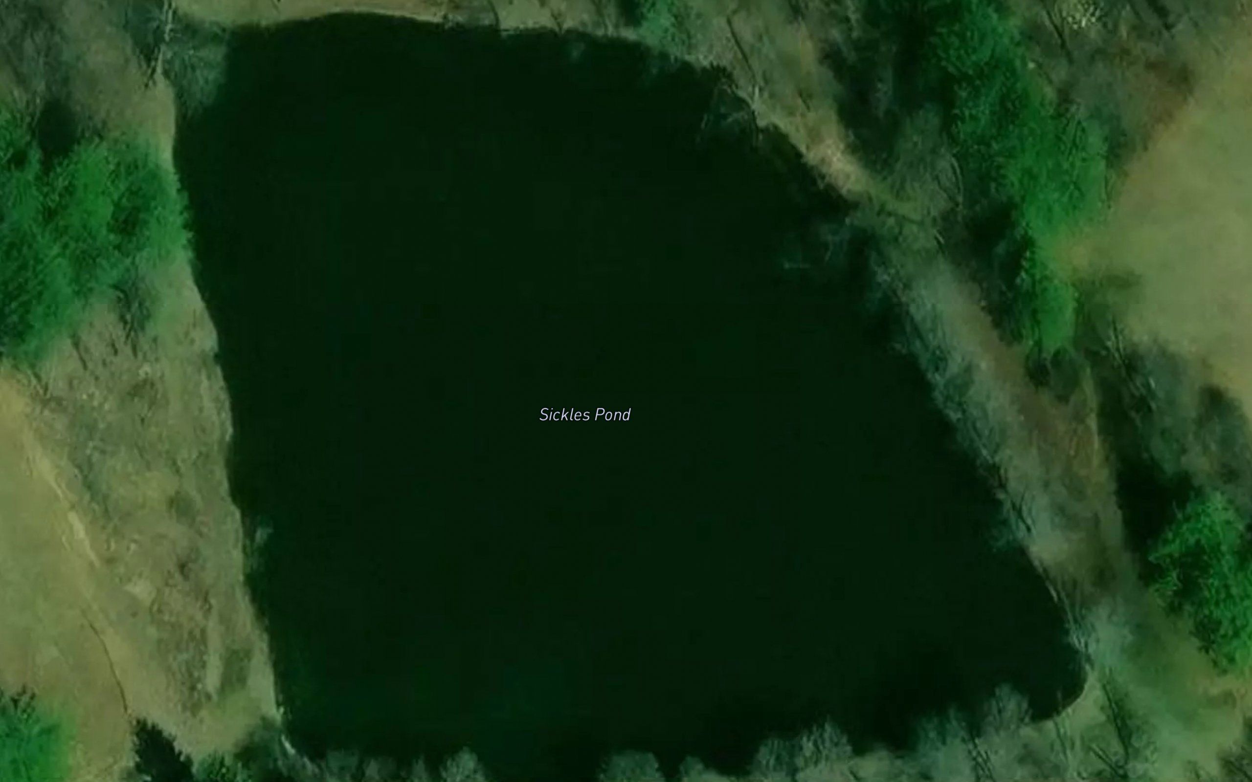 Sickles Pond