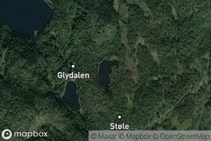 Stoletjenn