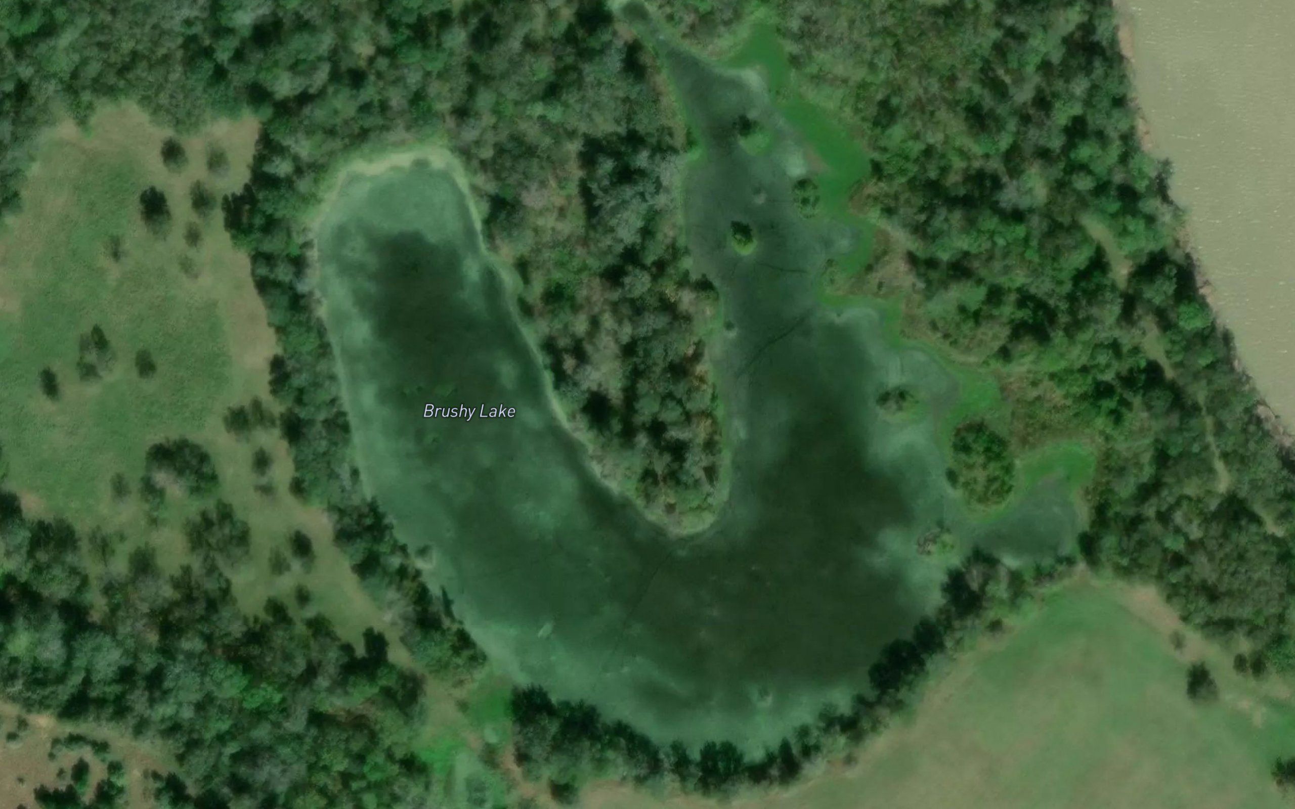 Brushy Lake