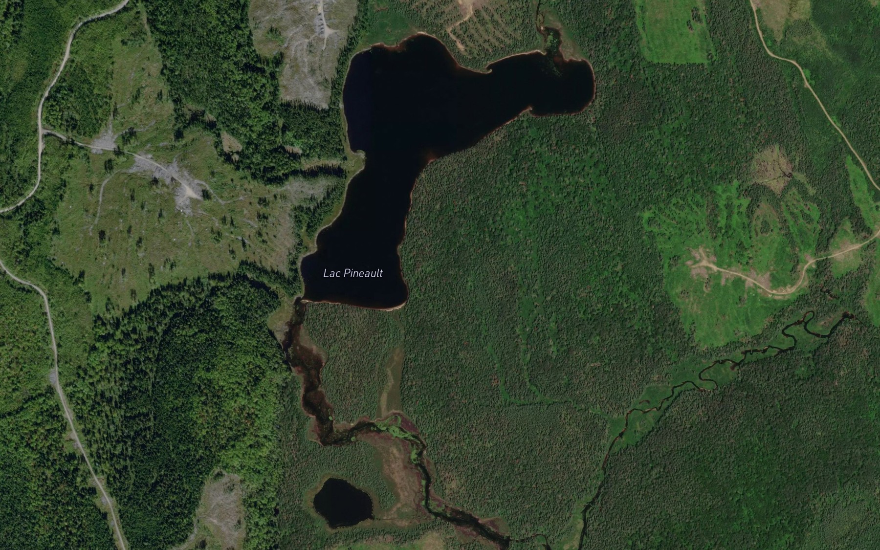 Satellite map of the Lac Pineault