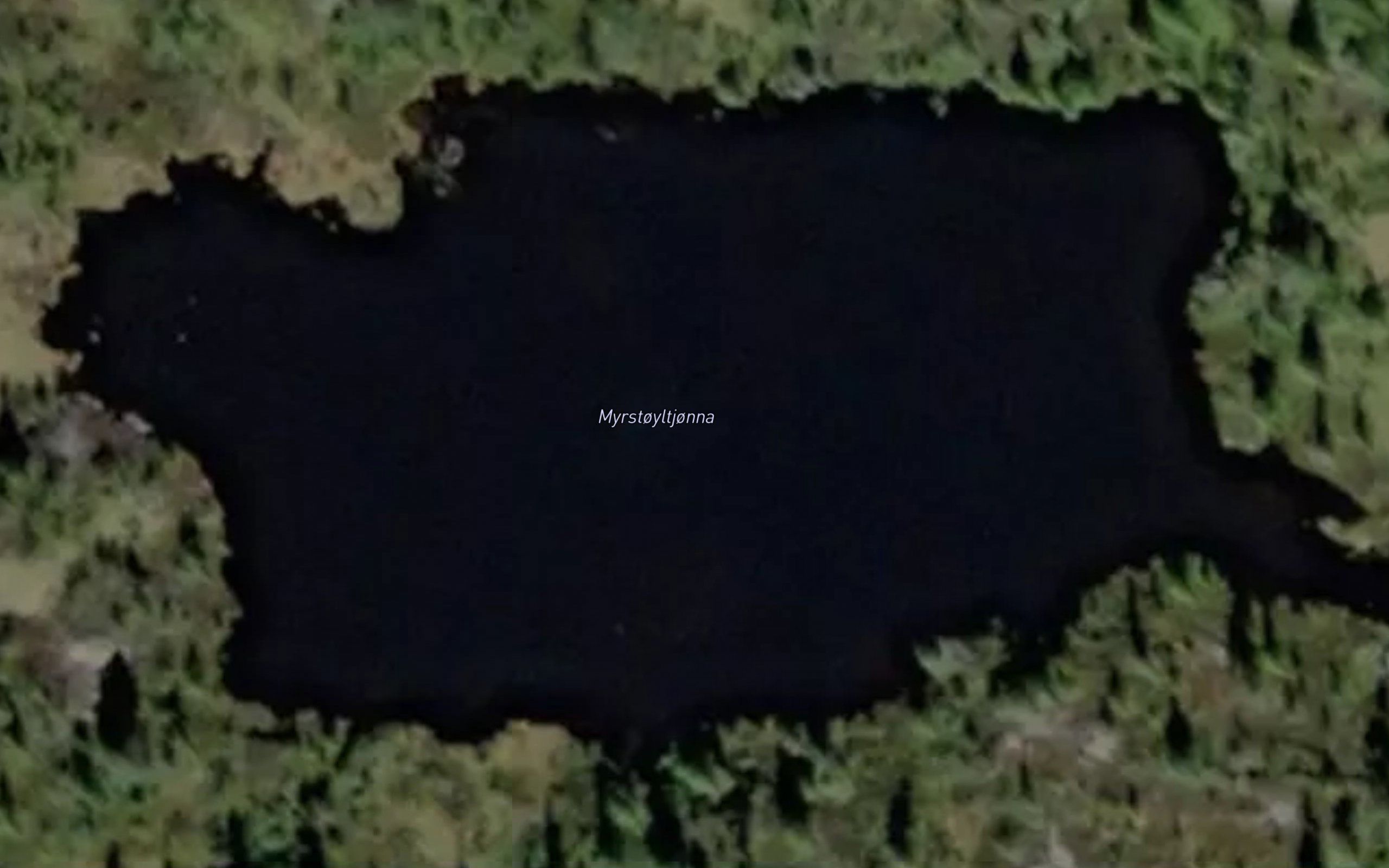 Myrstoyltjorni