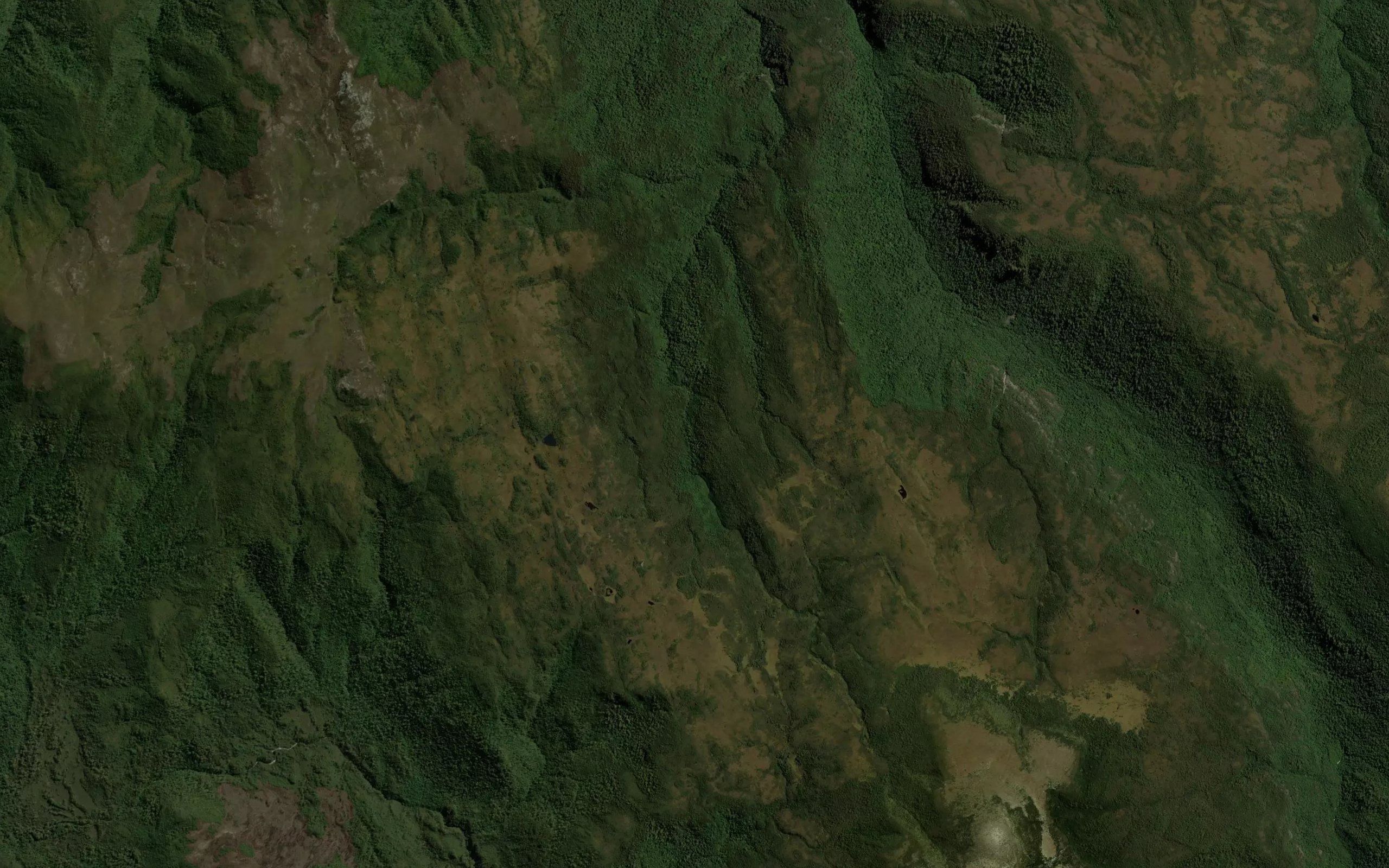 Bluff River