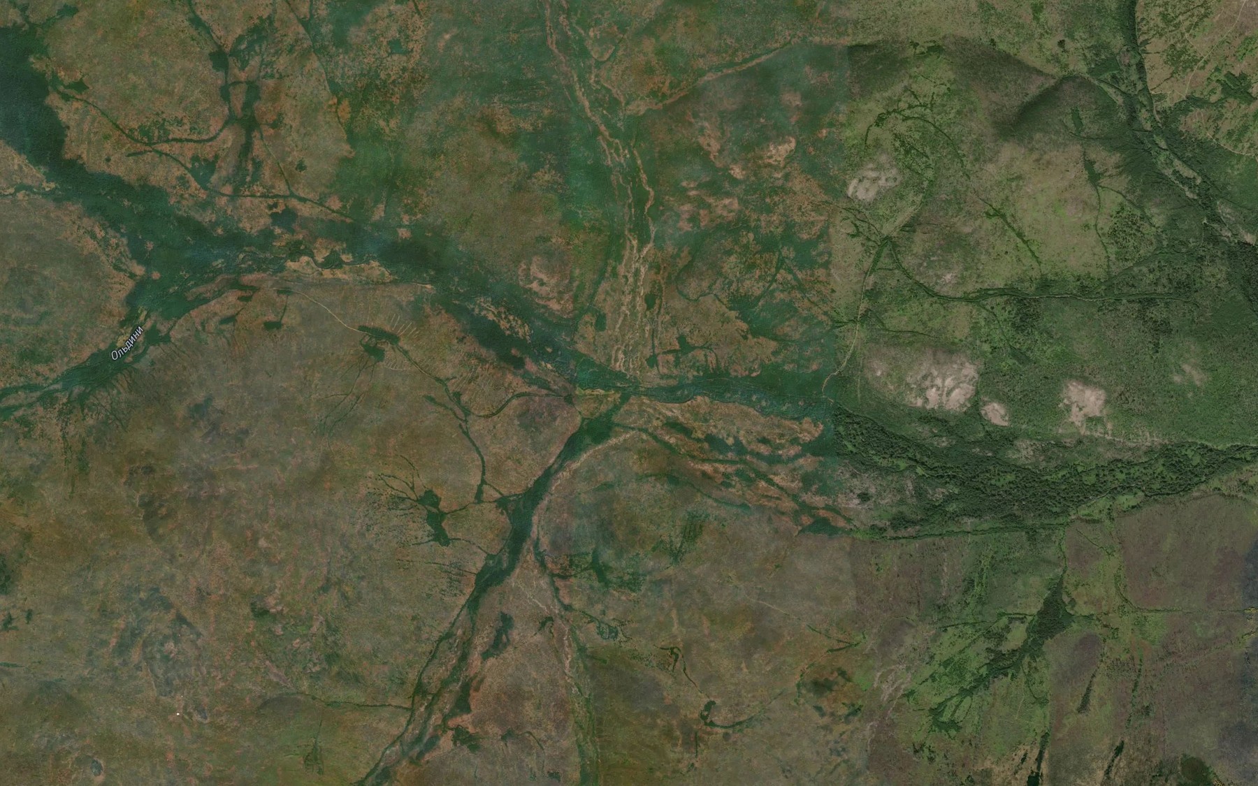 Satellite map of the Kamennyy