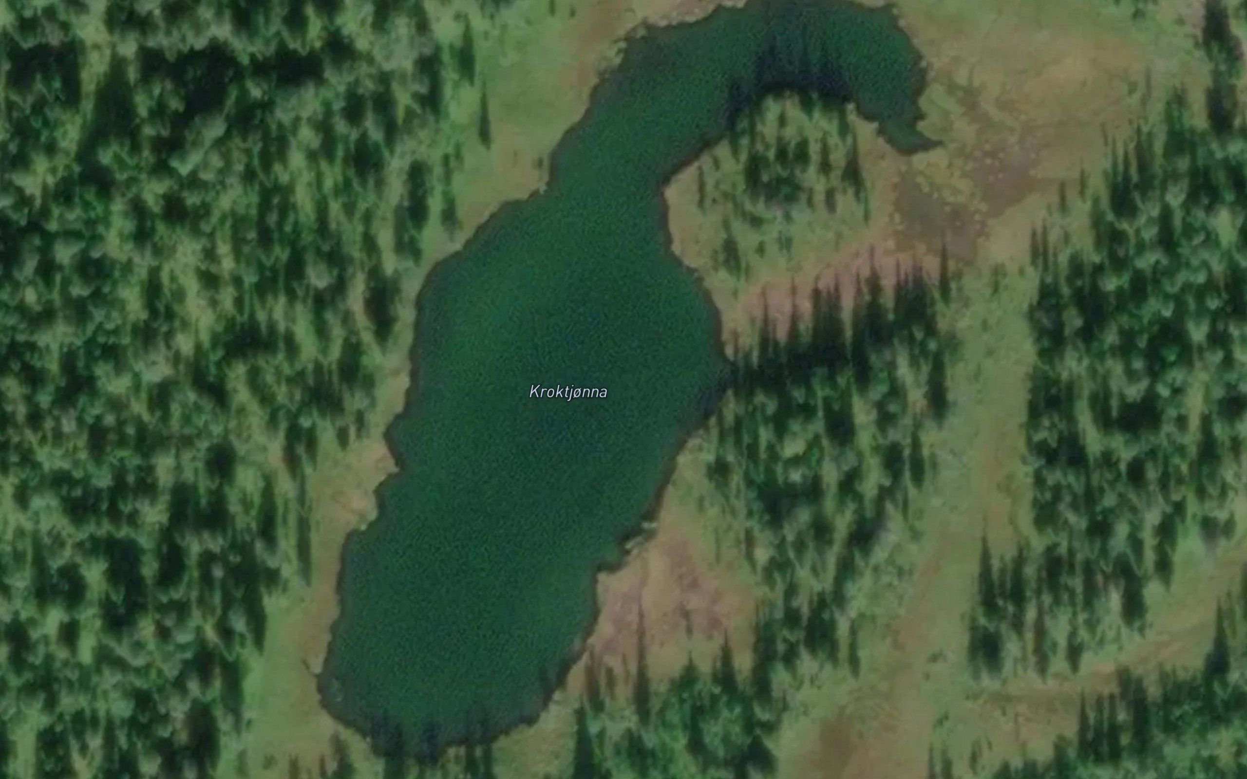Kroktjorna