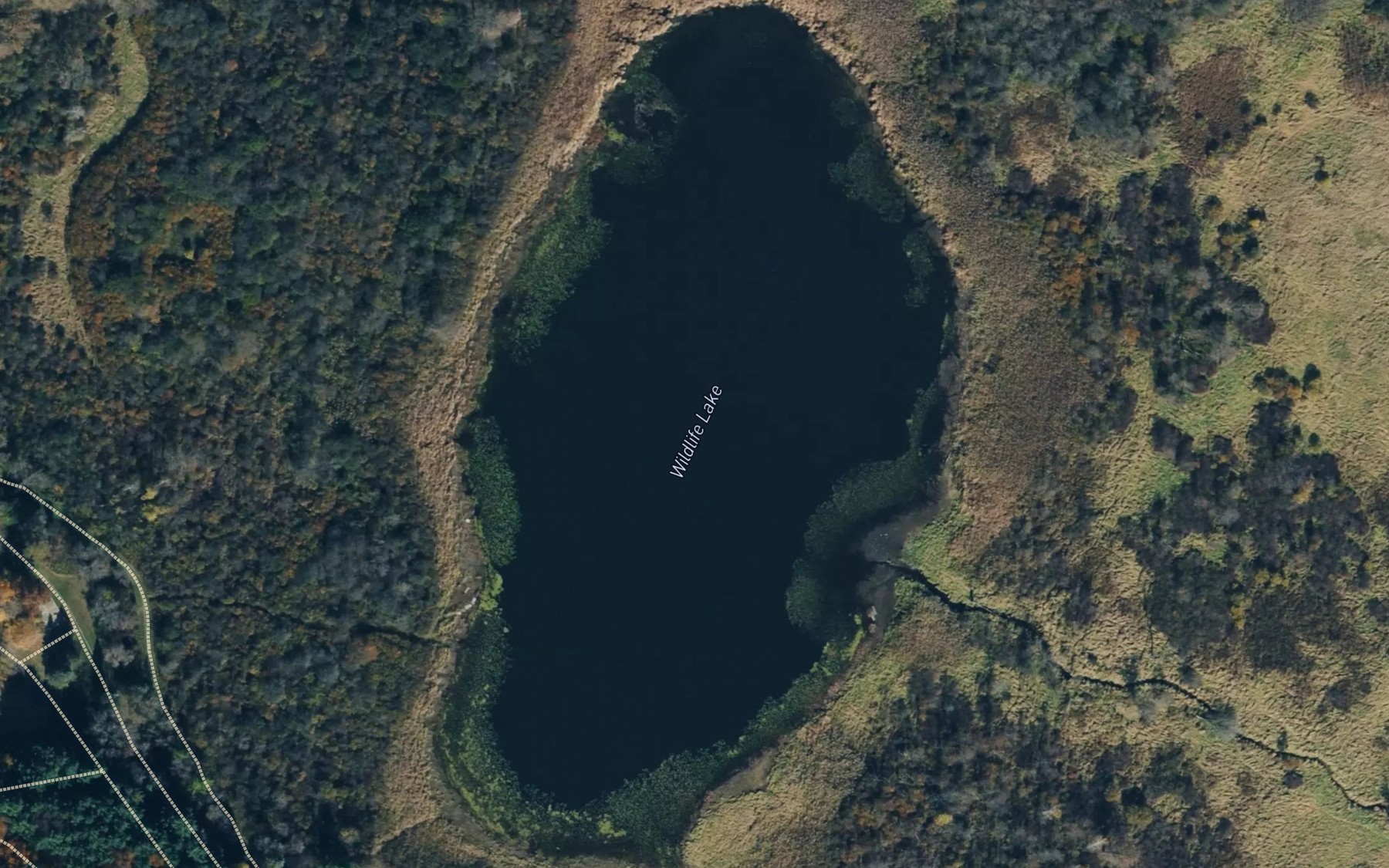 Satellite map of the Wildlife Lake