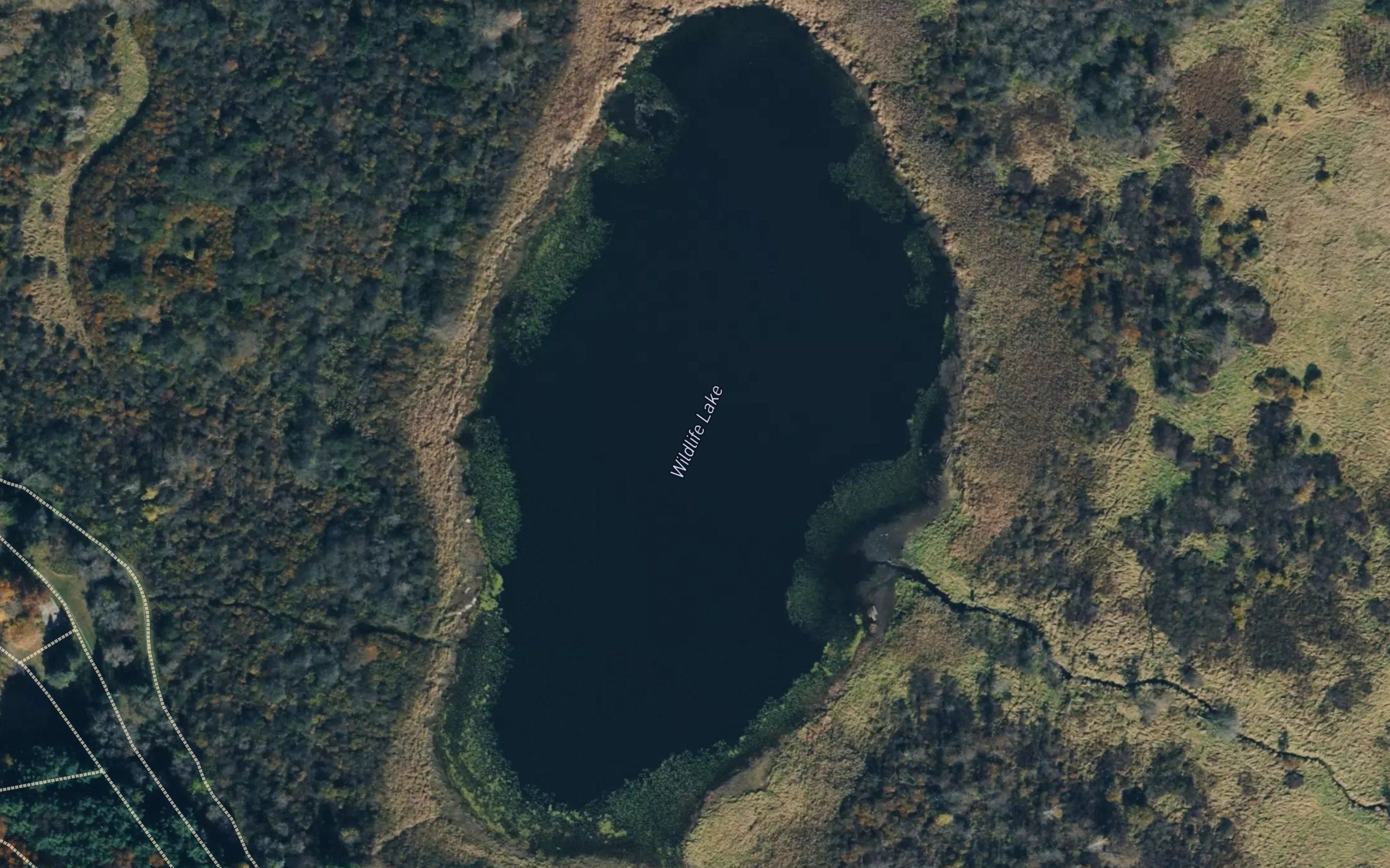 Wildlife Lake