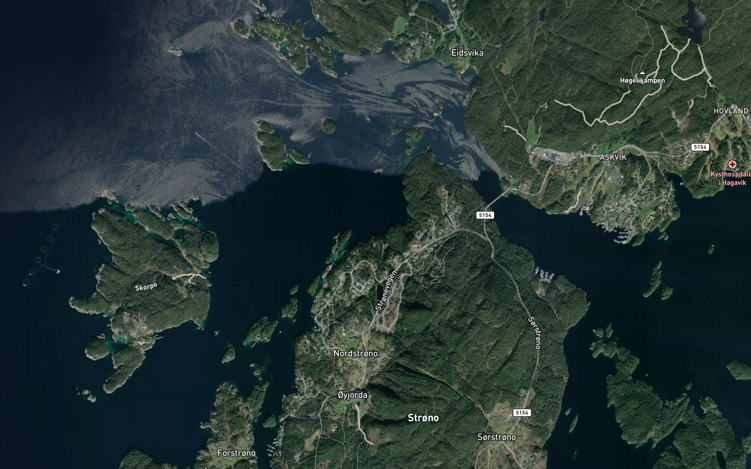 Stokkavika