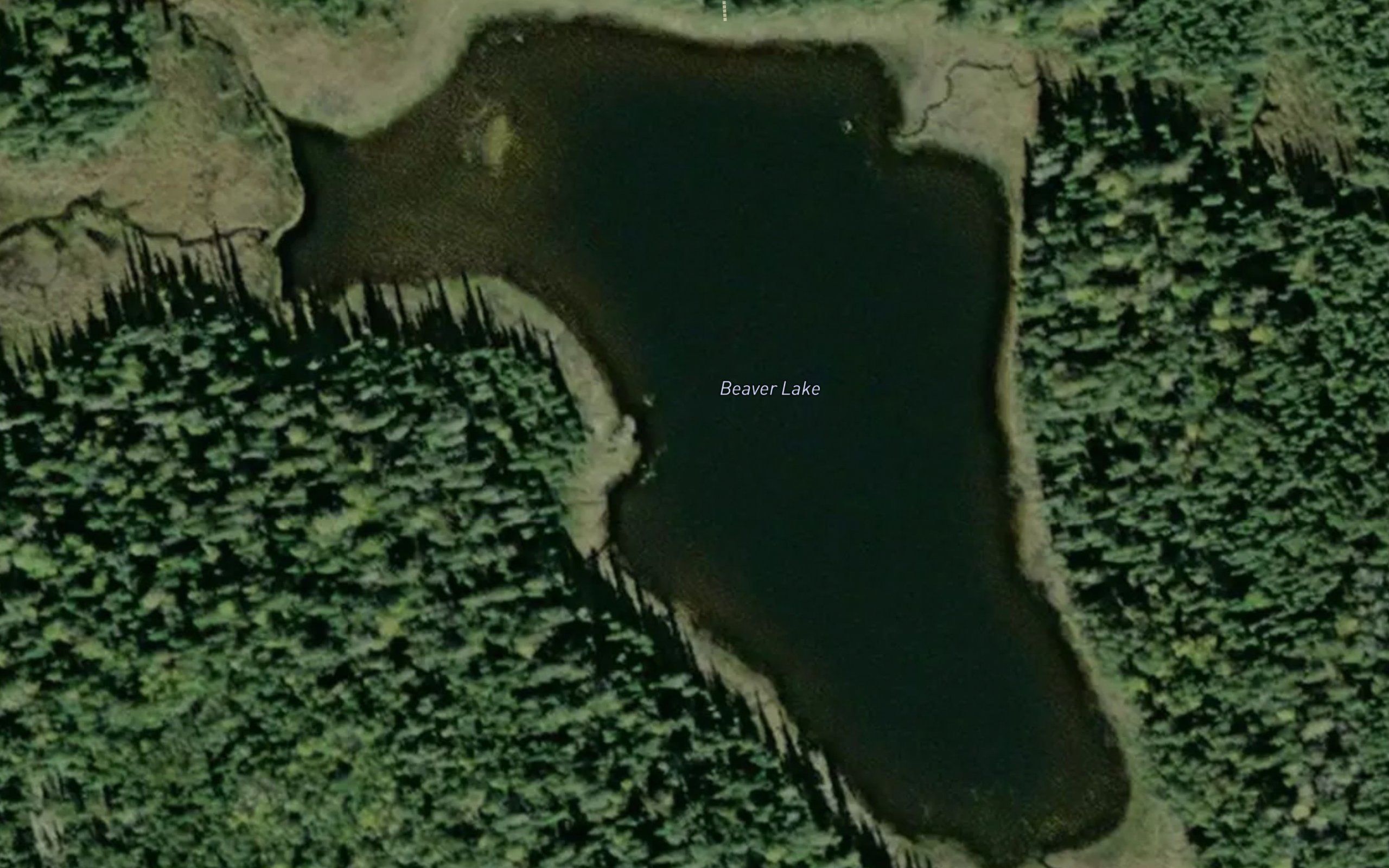 Beaver Lake
