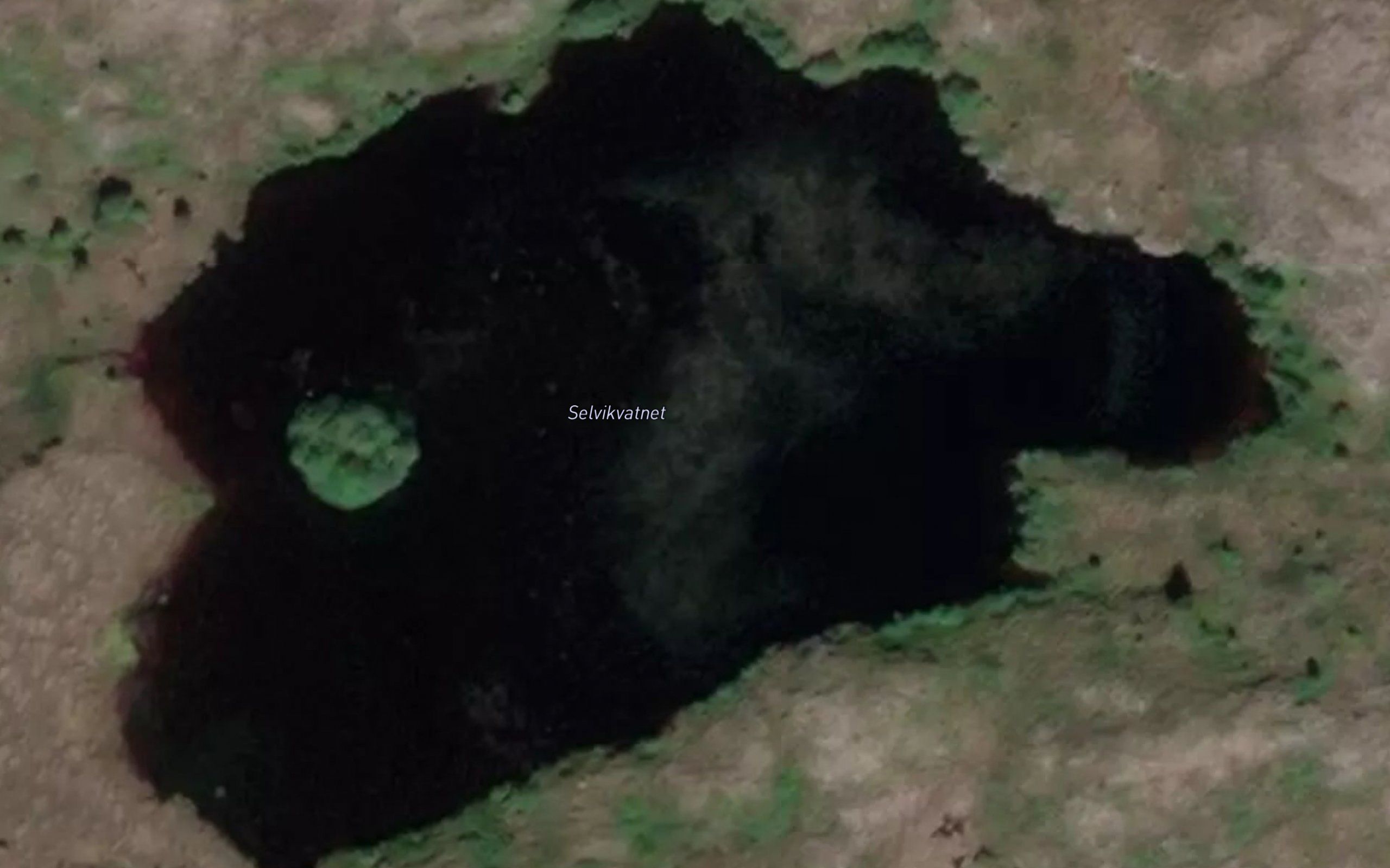 Selvikvatnet