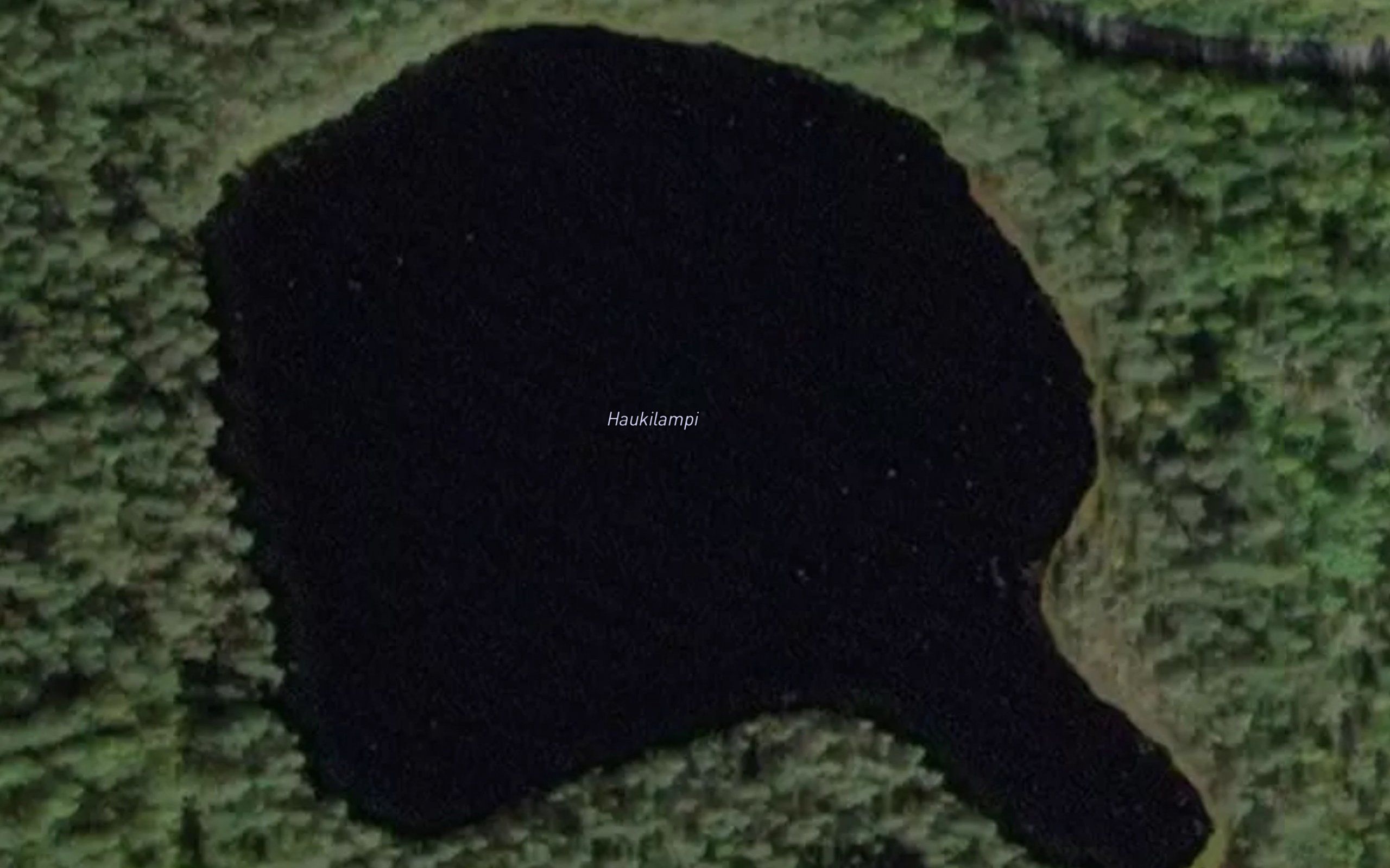 Haukilampi