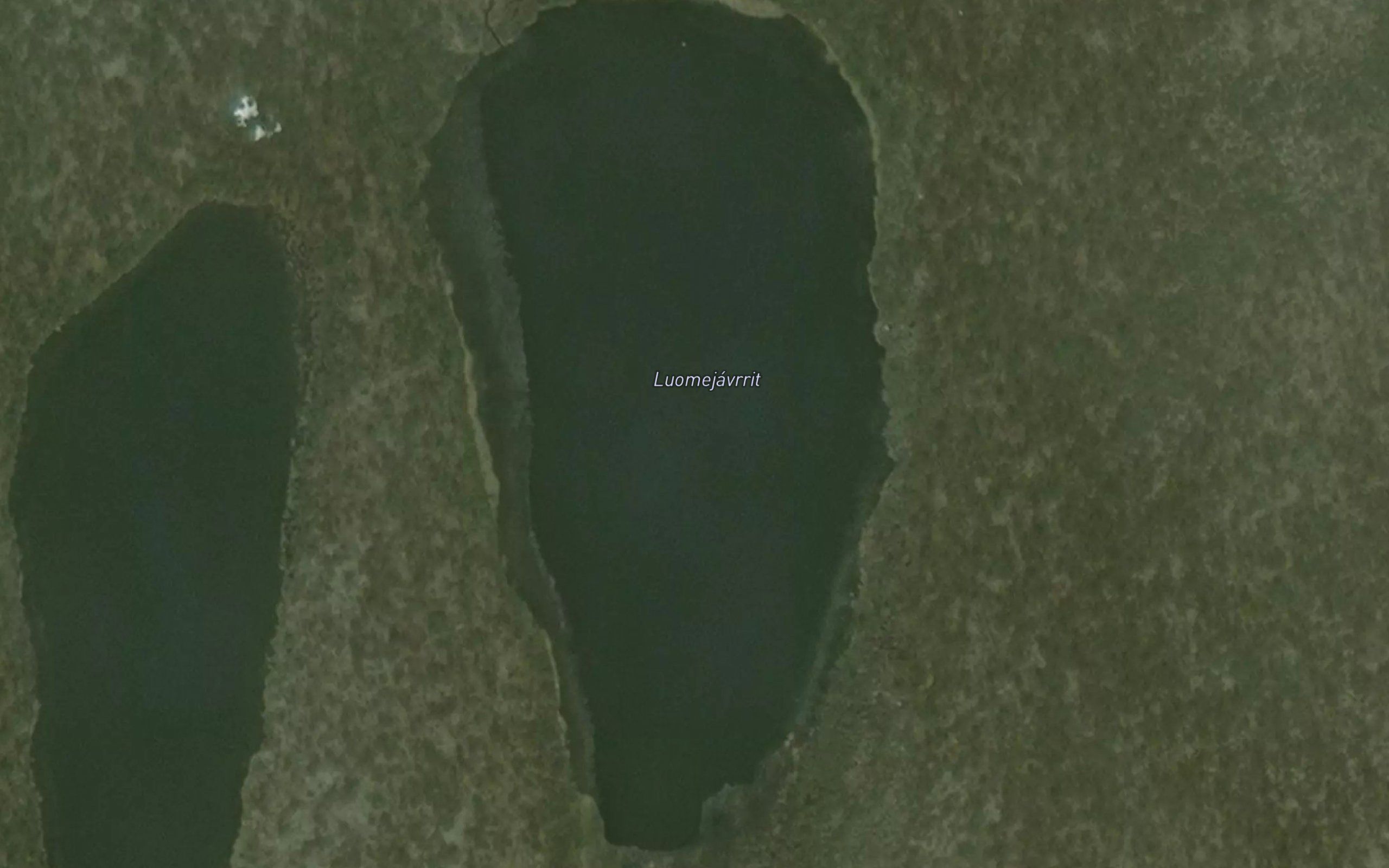 Luomejavrrit