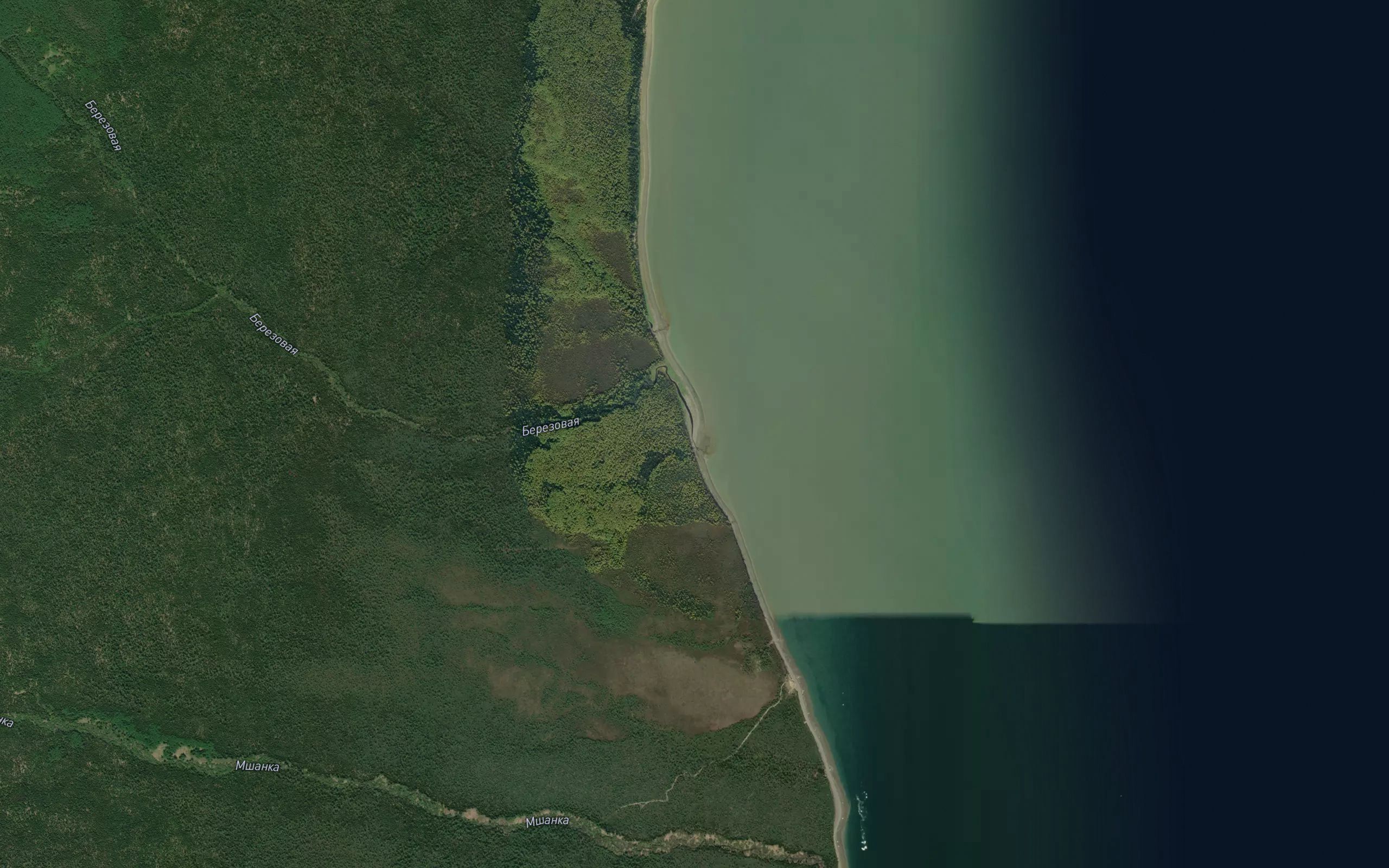 Berezovaya