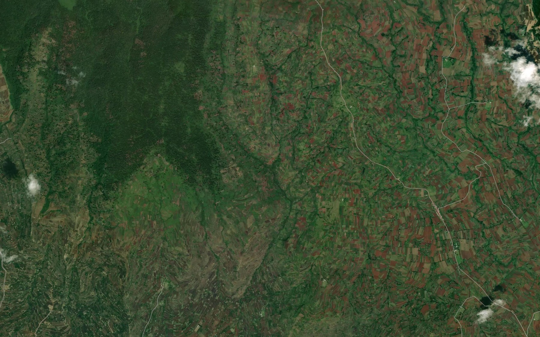 Satellite map of the Terim