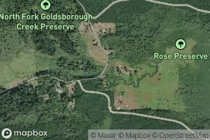 South Fork Goldsborough Creek