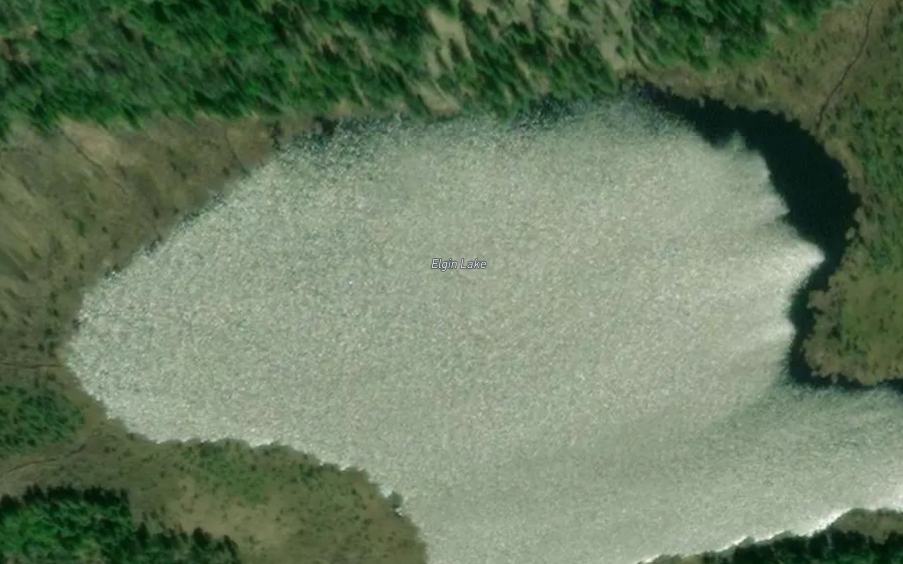 Satellite map of the Elgin Lake