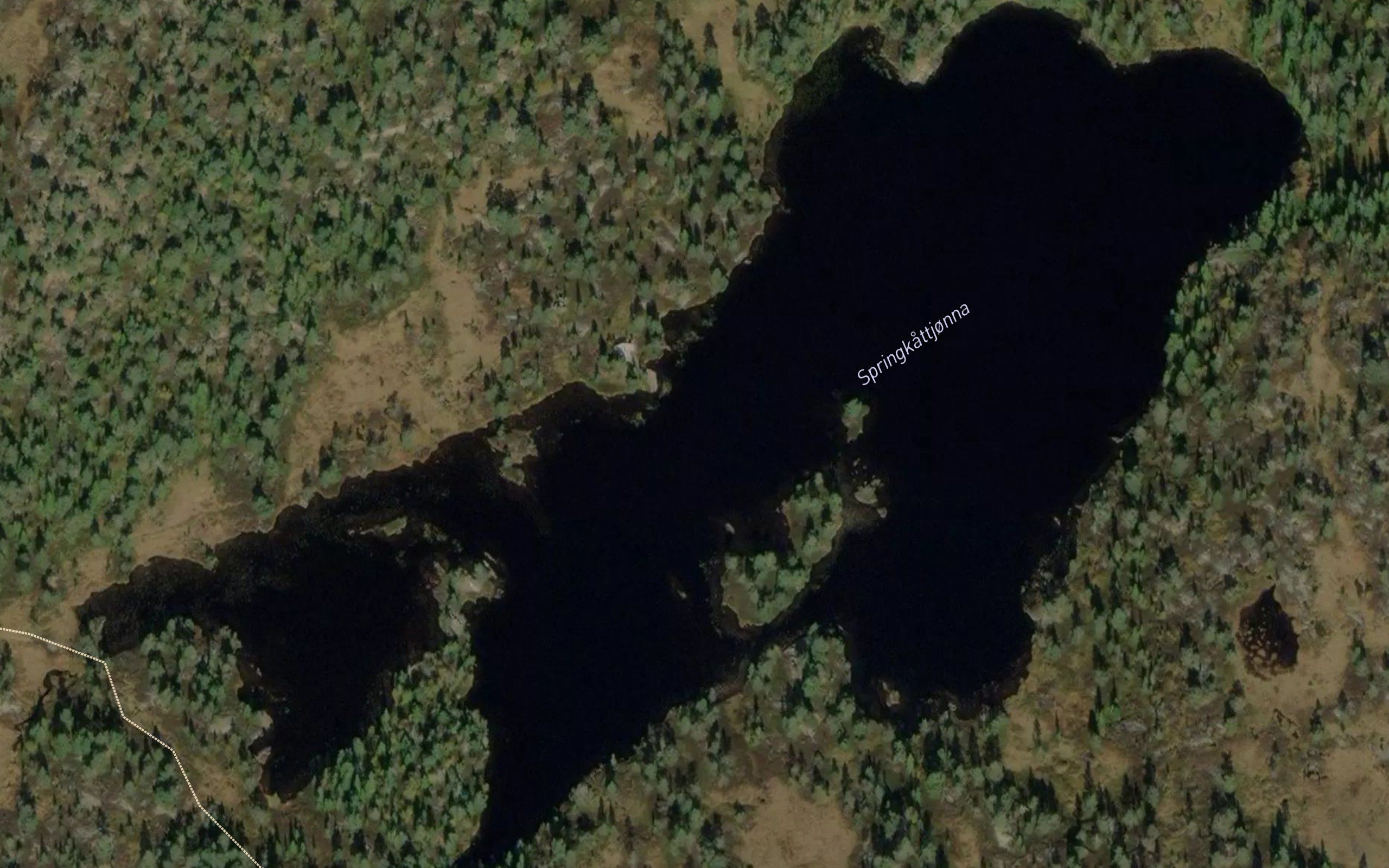 Springkattjorn