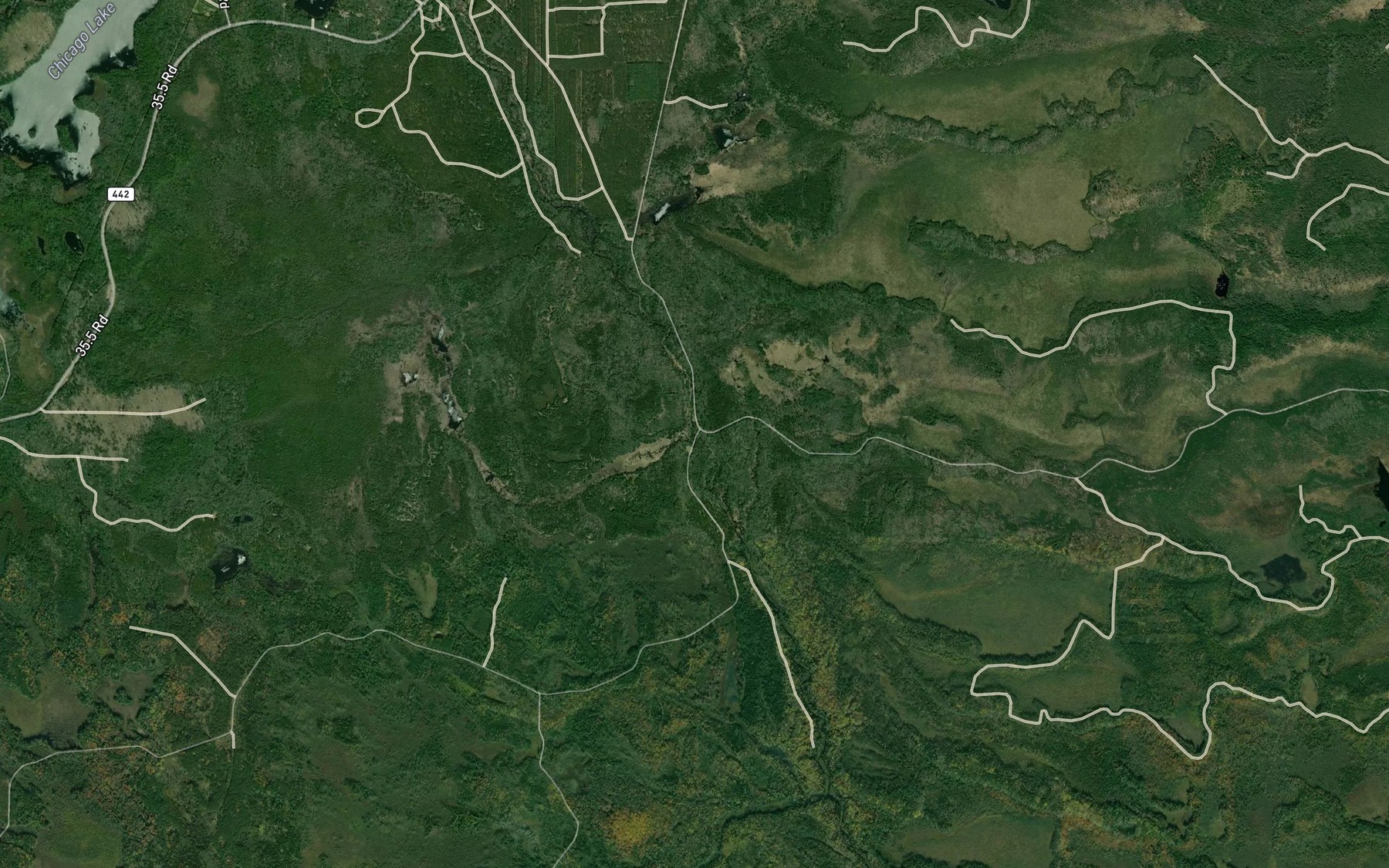 Satellite map of the Onion Creek
